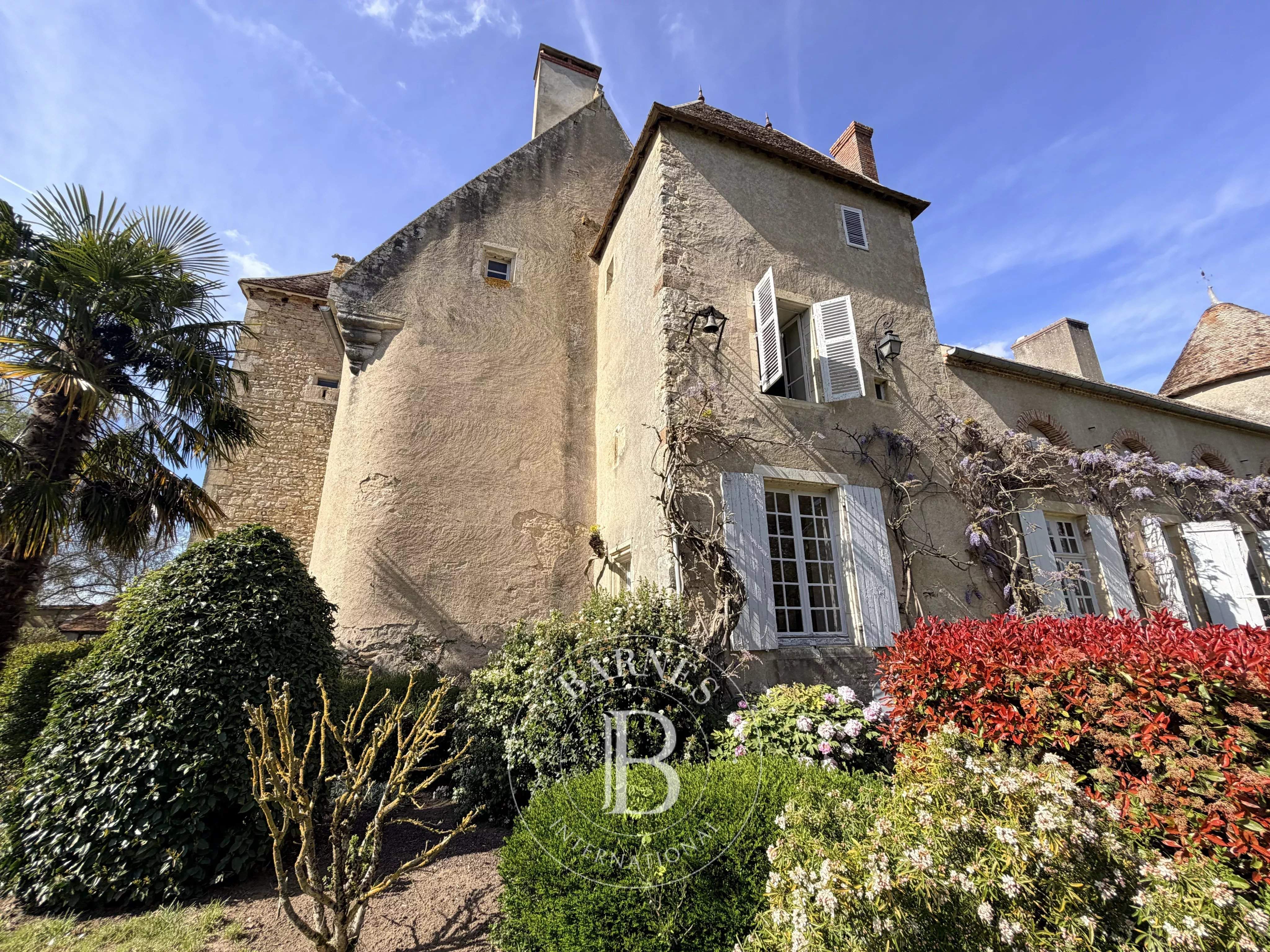 Saint-Georges-de-Poisieux  - Château 12 Pi&egrave;ces 8 Chambres - picture 5
