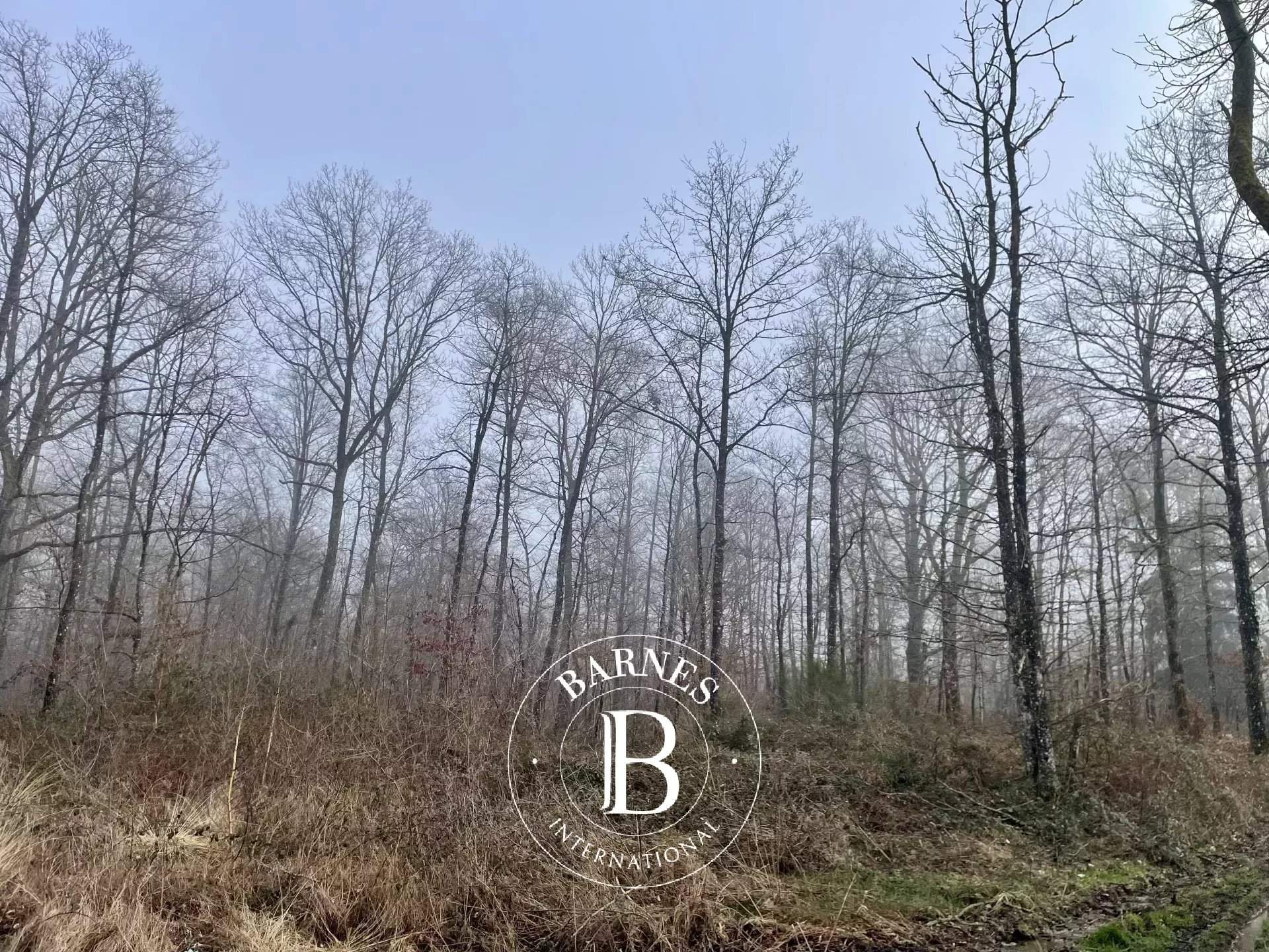 Neuvy-sur-Barangeon  - Property 1 Bedroom - picture 12