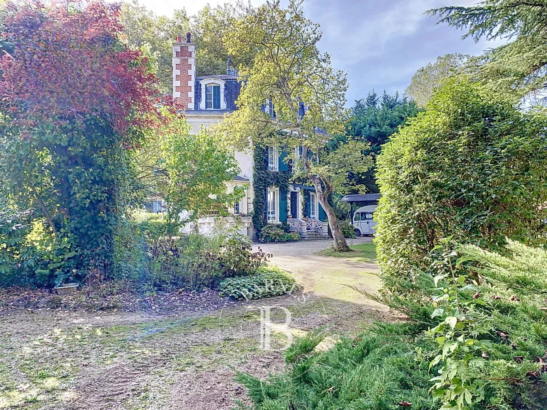 Le Blanc  - Manor house 7 Bedrooms - picture 4