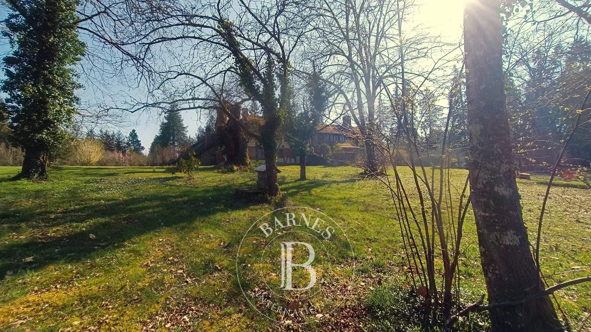 Brinon-sur-Sauldre  - Game reserve 9 Bedrooms - picture 4