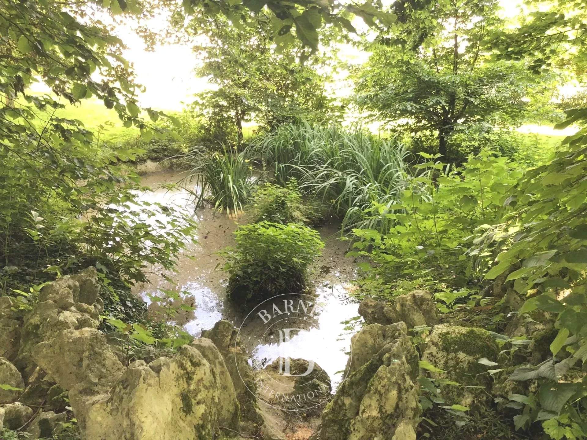 Bourges  - Château 14 Pièces 9 Chambres - picture 12