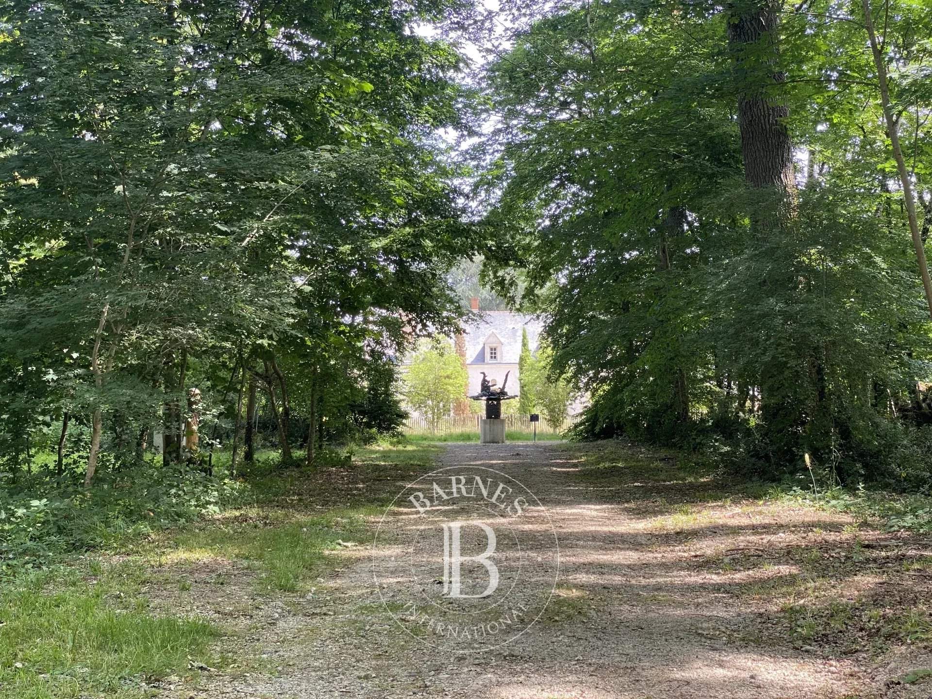 Cellettes  - Castle  - picture 2