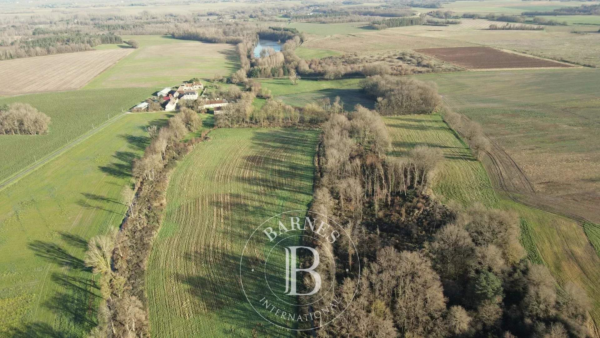 Valençay  - Propriété  - picture 17