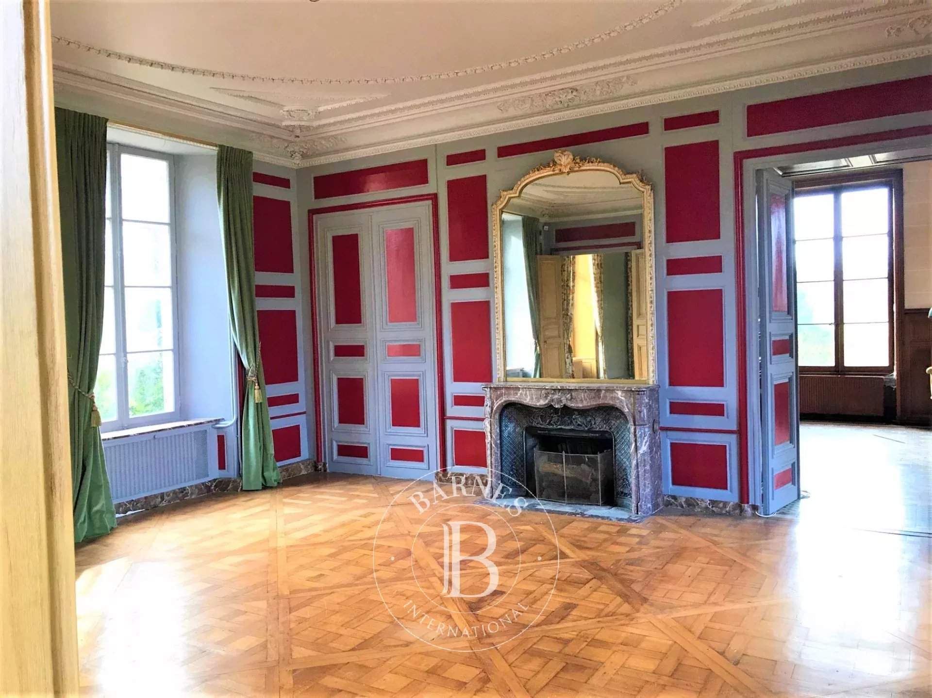 Salbris  - Château 30 Pièces 10 Chambres - picture 6