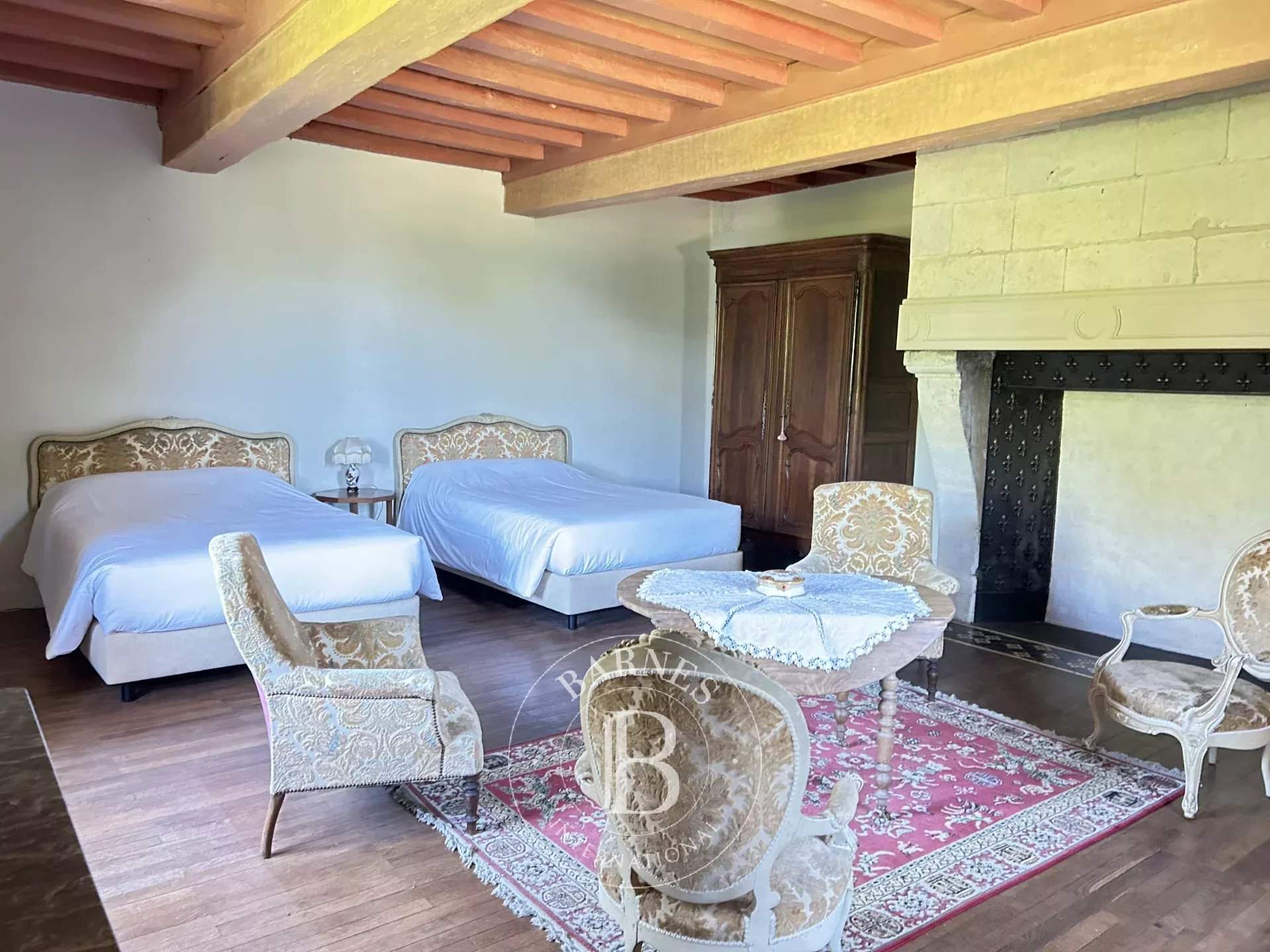 Chazé-sur-Argos  - Castle 15 Bedrooms - picture 12