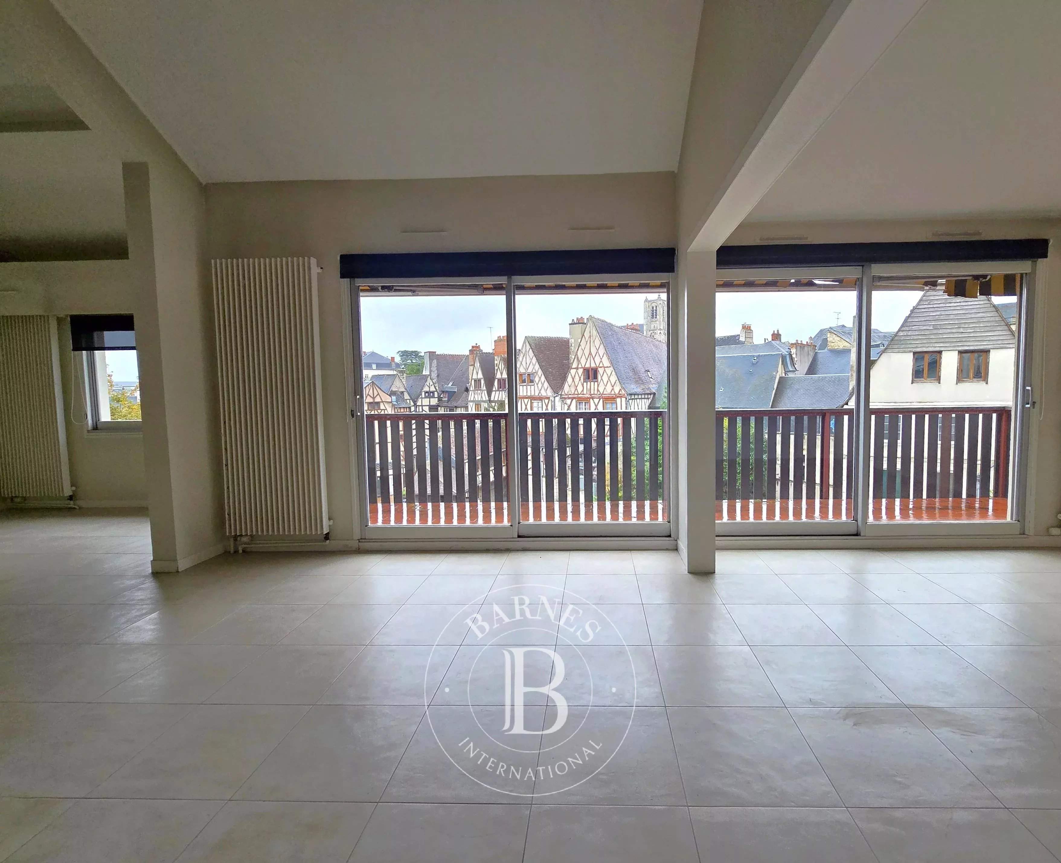 Bourges  - Triplex 6 Pi&egrave;ces 4 Chambres - picture 4