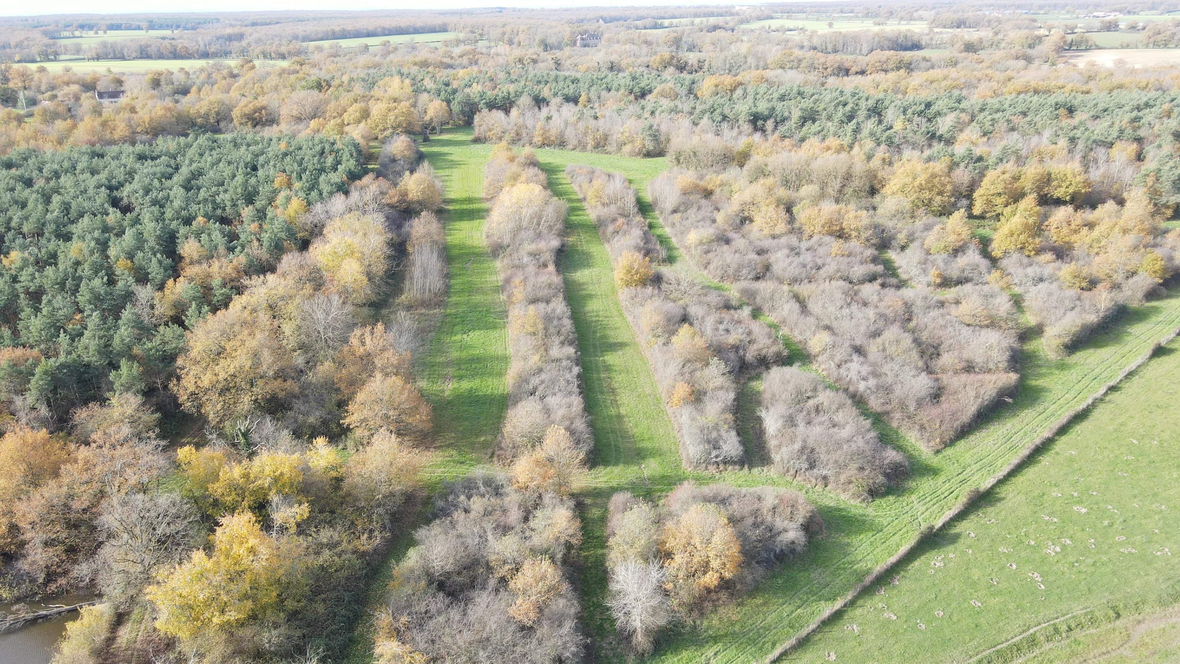 Lusigny  - Propriété 10 Pi&egrave;ces 4 Chambres - picture 4