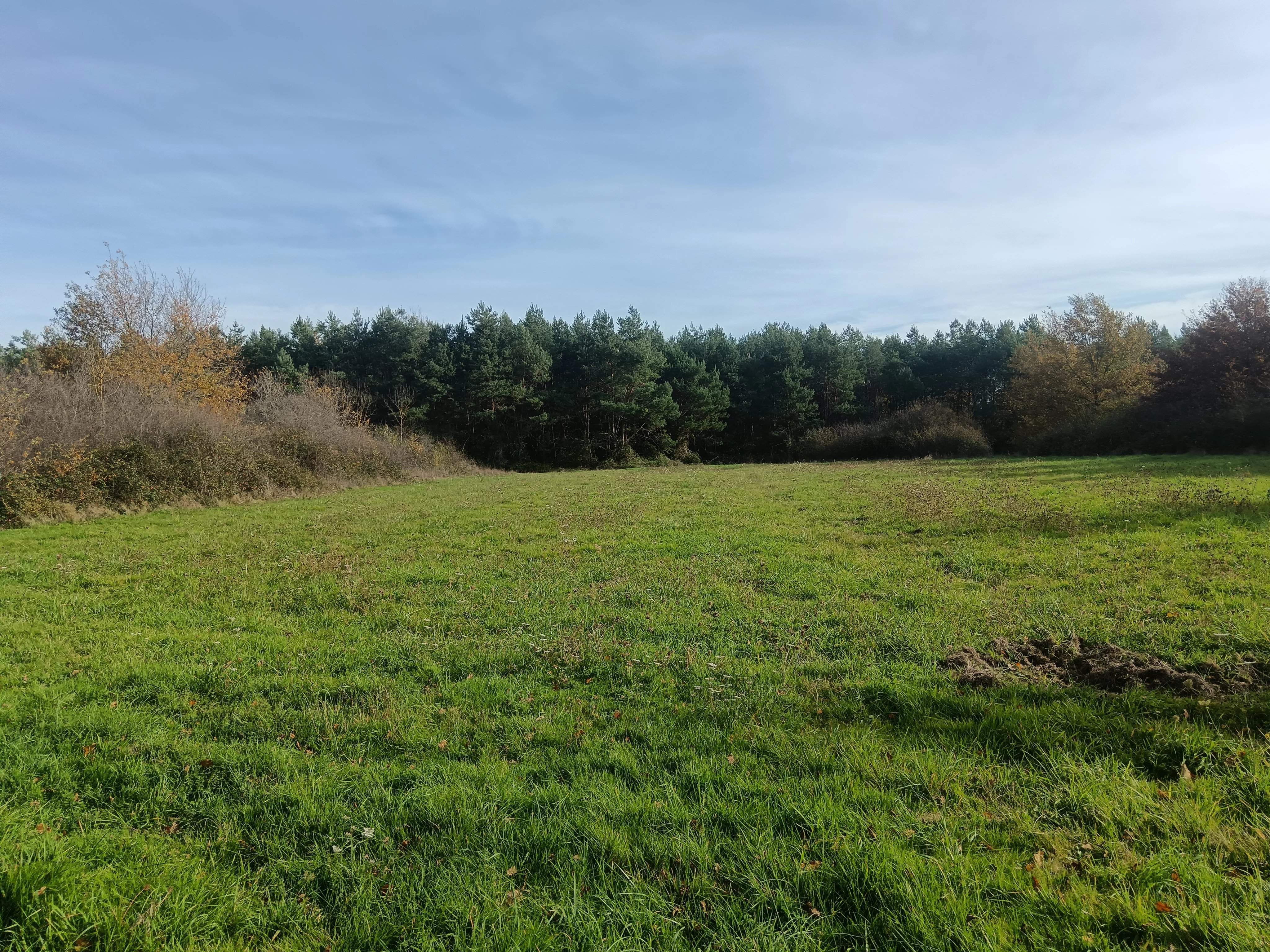 Lusigny  - Propriété 10 Pi&egrave;ces 4 Chambres - picture 14