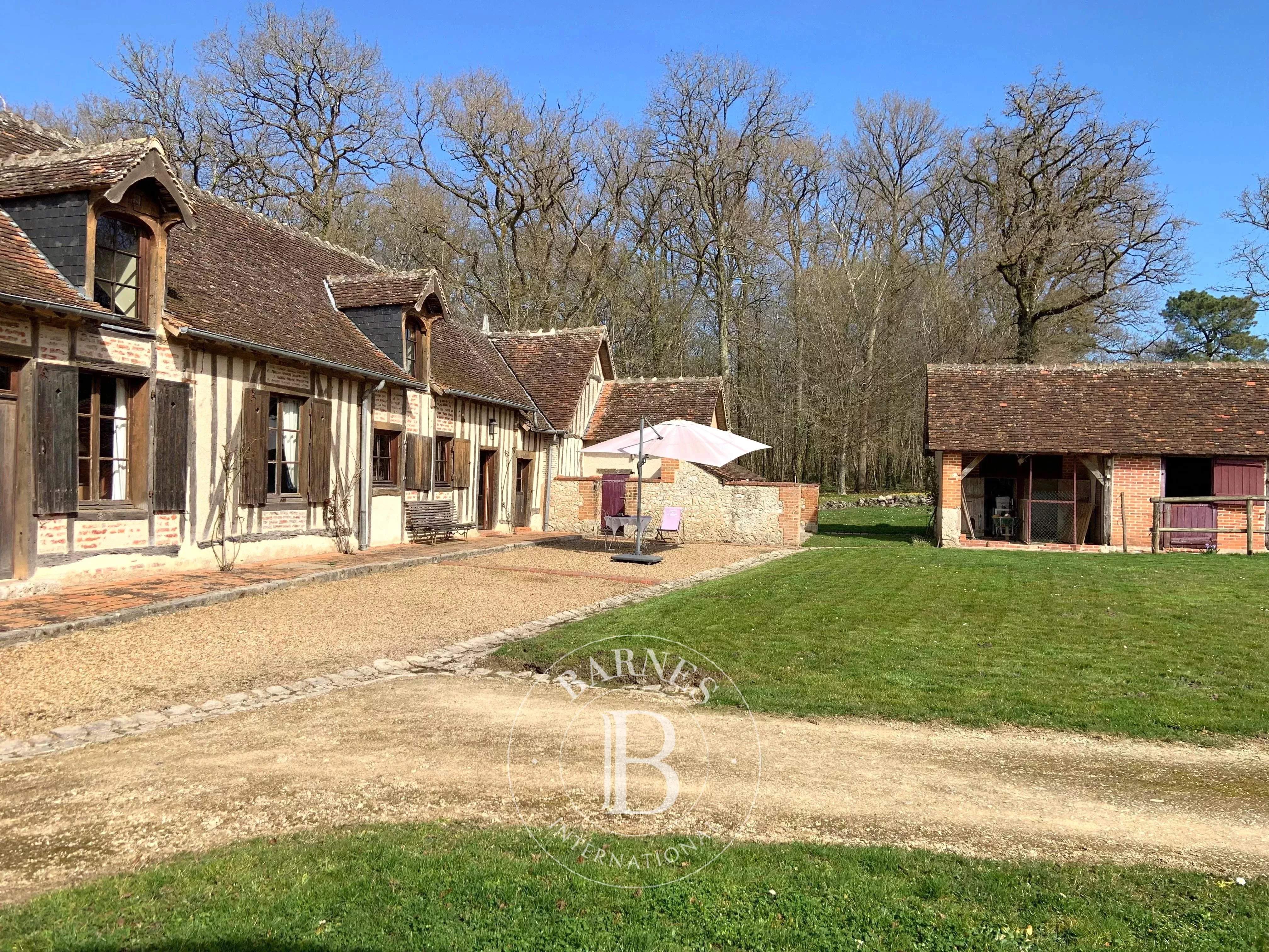 Cheverny  - Fermette 13 Pi&egrave;ces 8 Chambres - picture 16