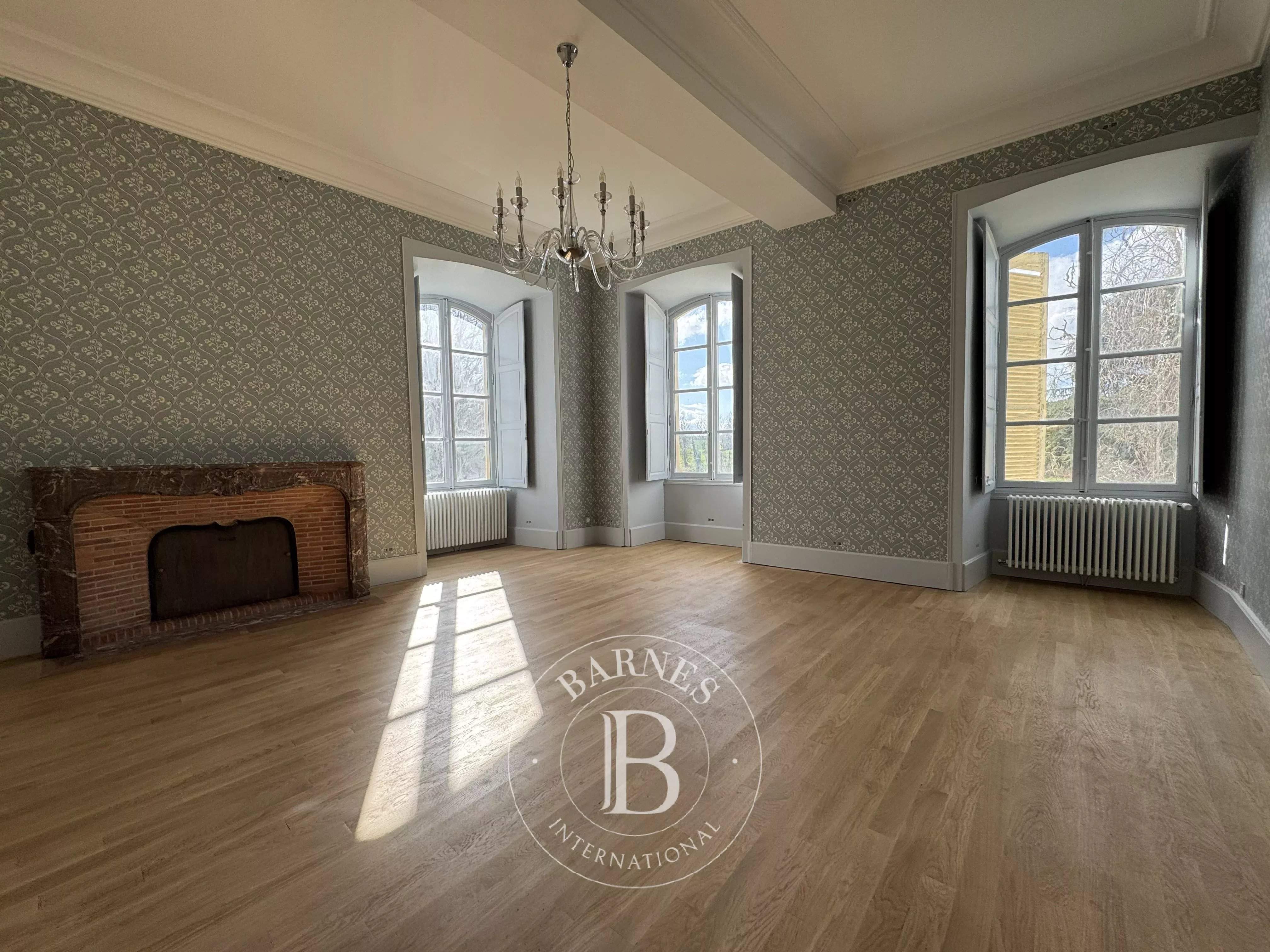 Vendôme  - Château  - picture 8