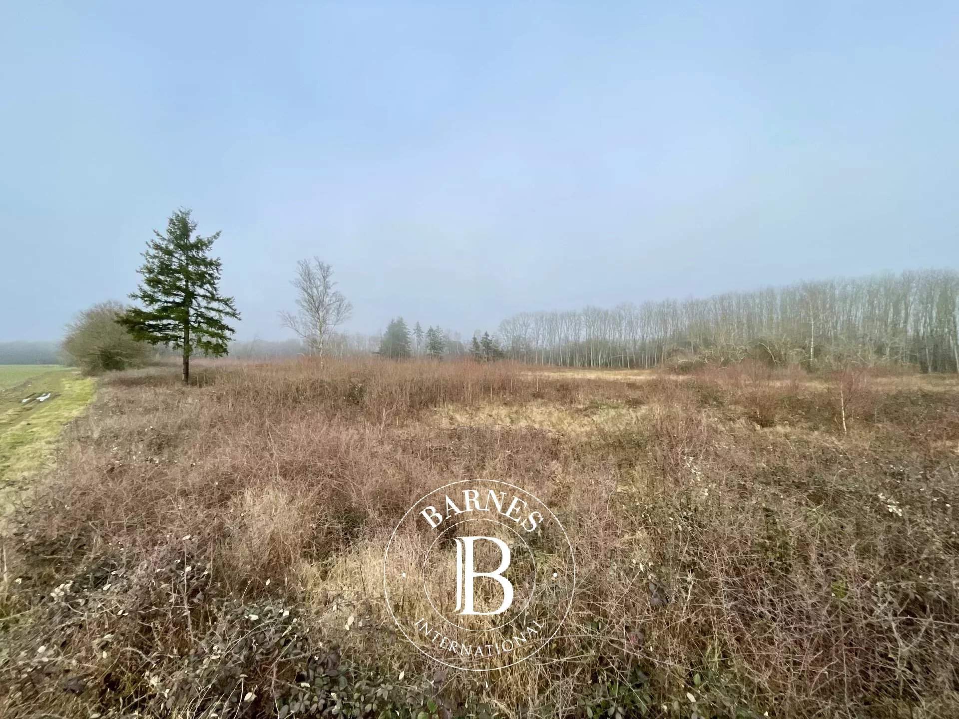 Neuvy-sur-Barangeon  - Property 1 Bedroom - picture 11