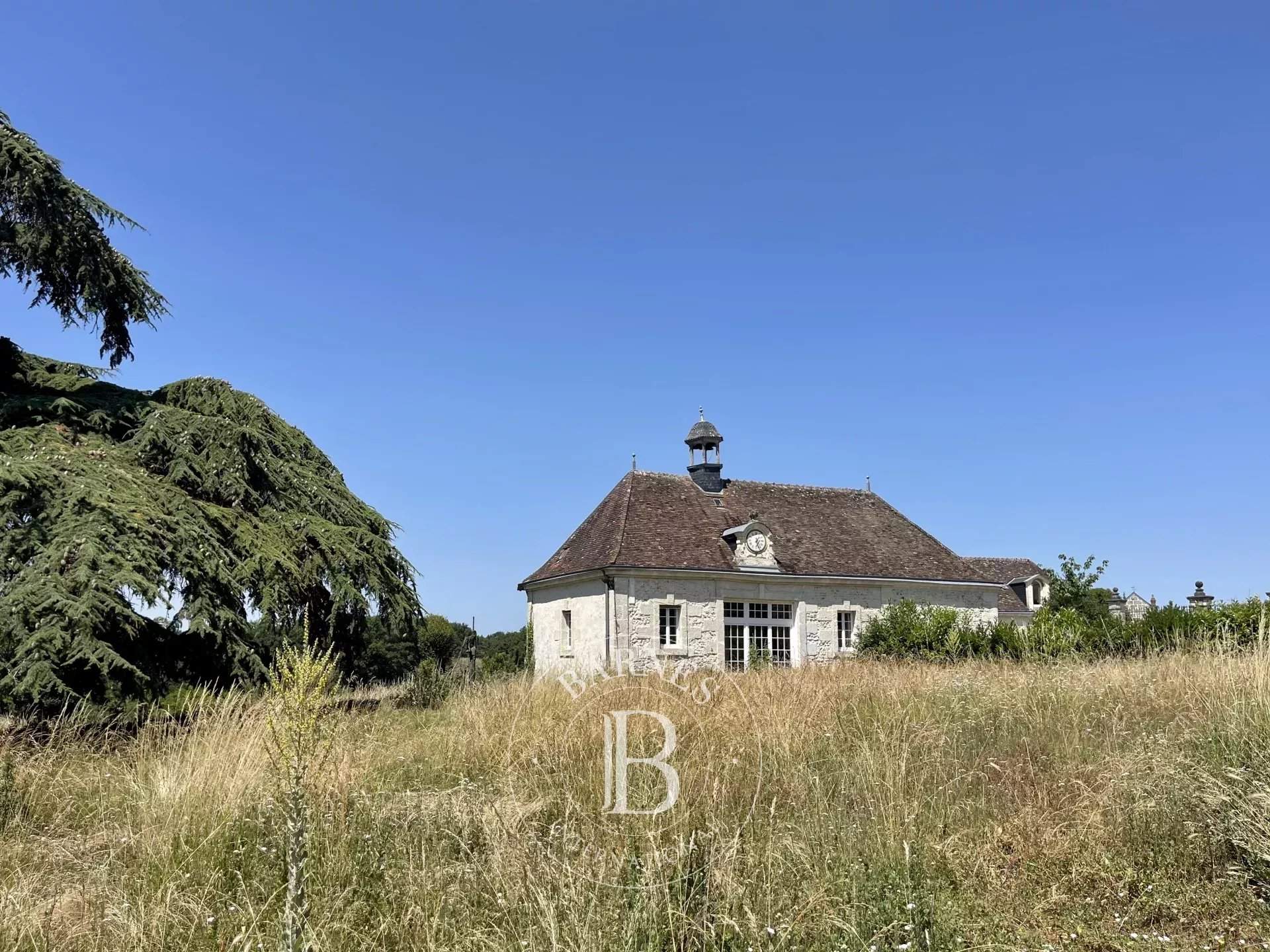 Vendôme  - Château  - picture 9