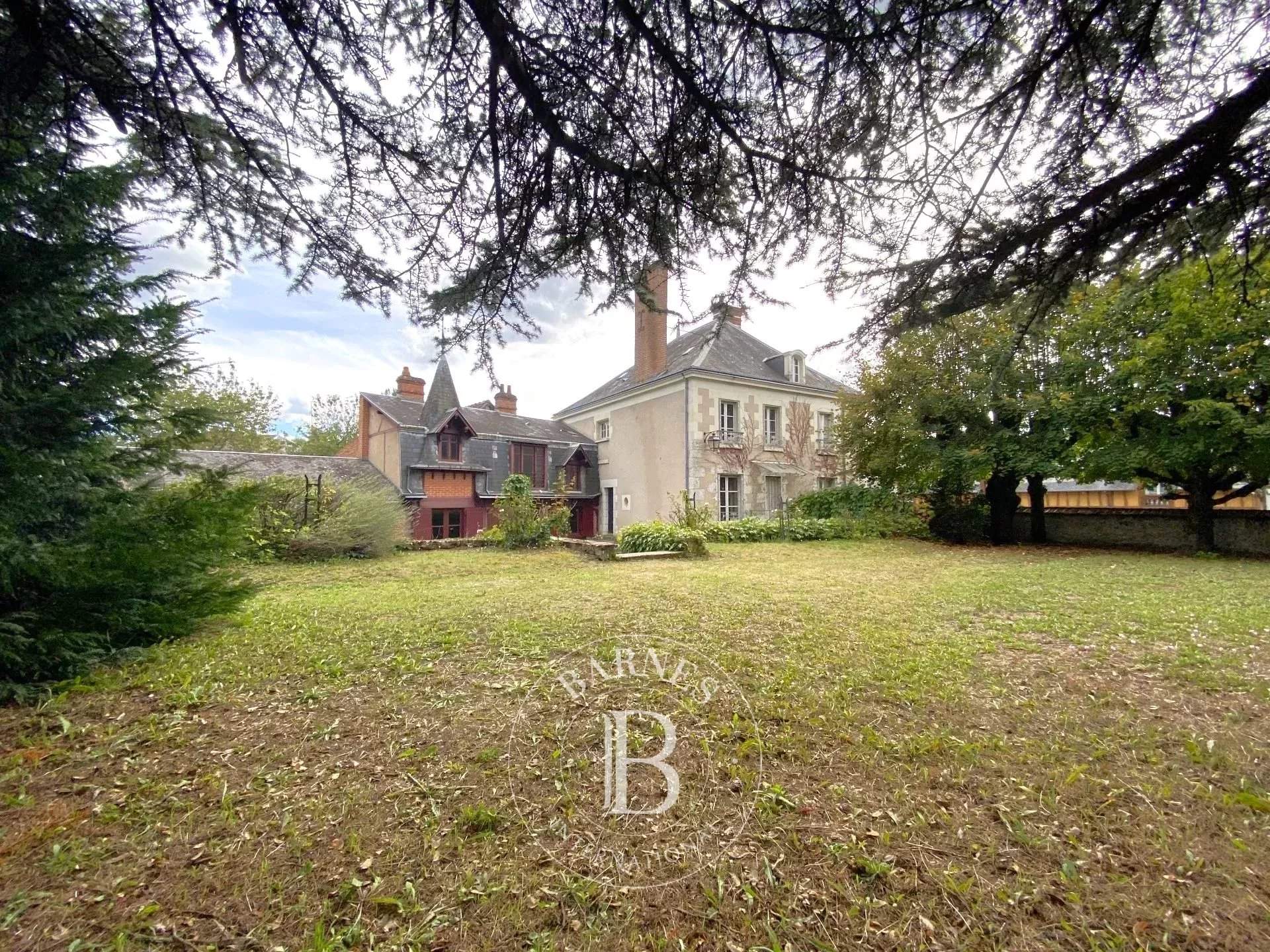 Cour-Cheverny  - House 5 Bedrooms - picture 1