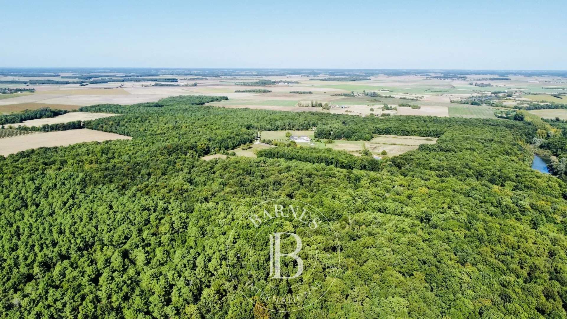 Tours  - Propriété 12 Pi&egrave;ces 5 Chambres - picture 9