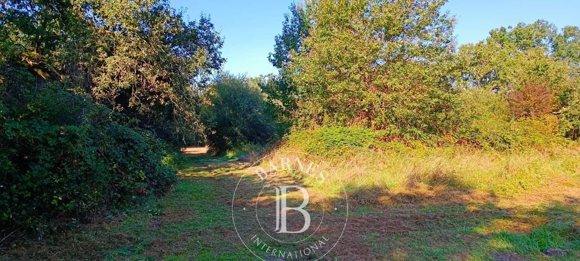 Neuvy-sur-Barangeon  - Property 4 Bedrooms - picture 8