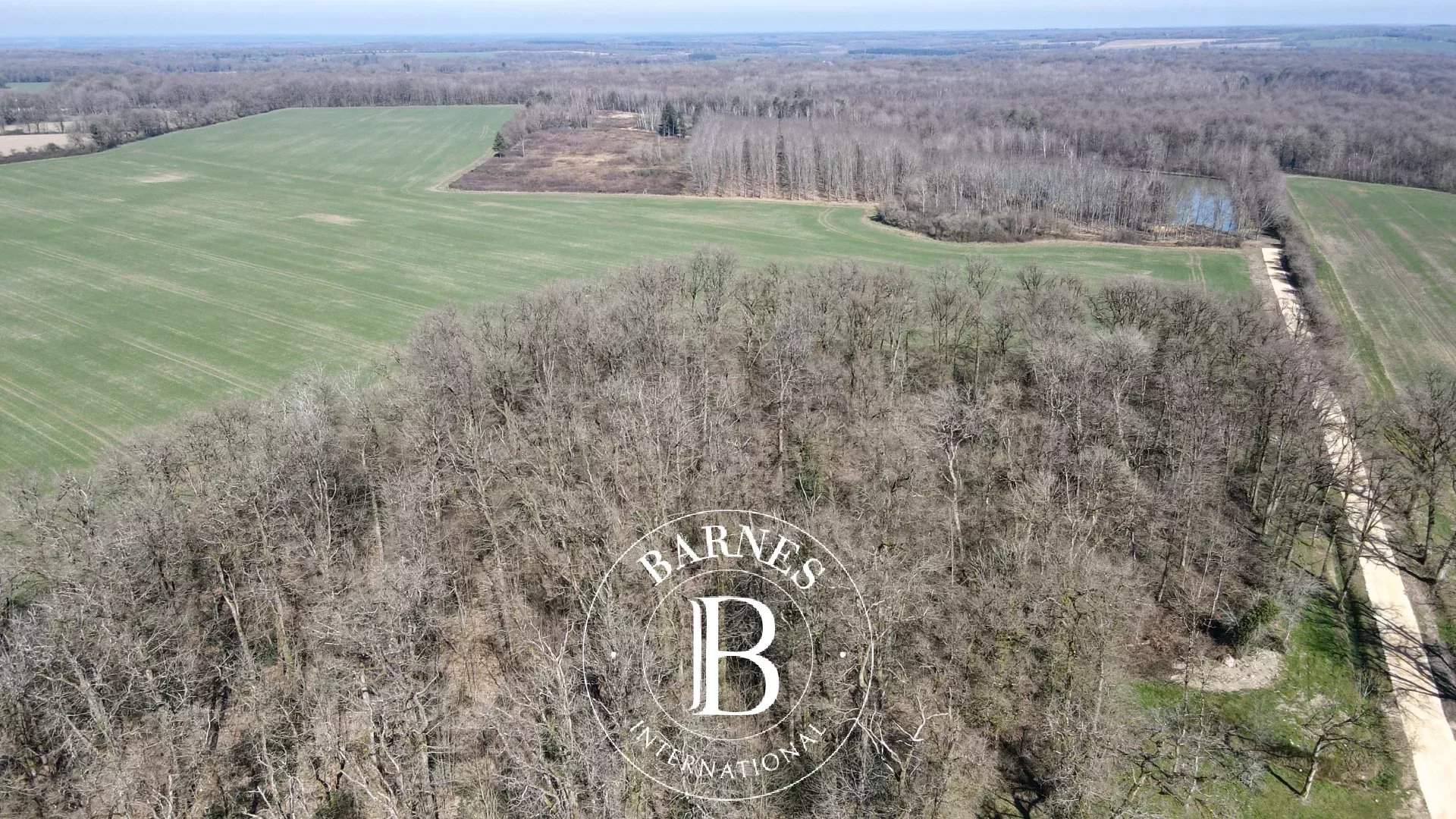 Neuvy-sur-Barangeon  - Property 1 Bedroom - picture 4