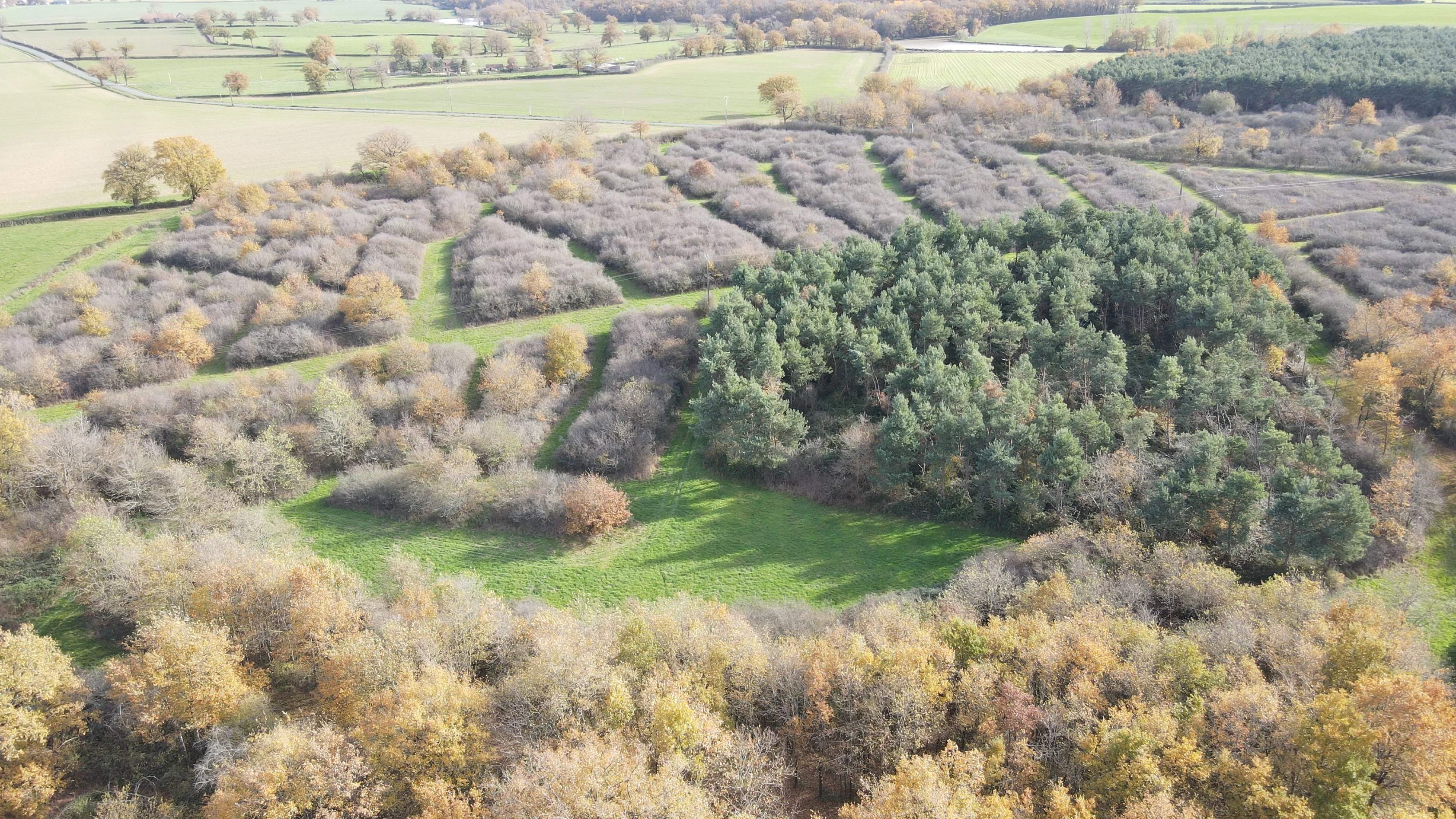 Lusigny  - Propriété 10 Pi&egrave;ces 4 Chambres - picture 16