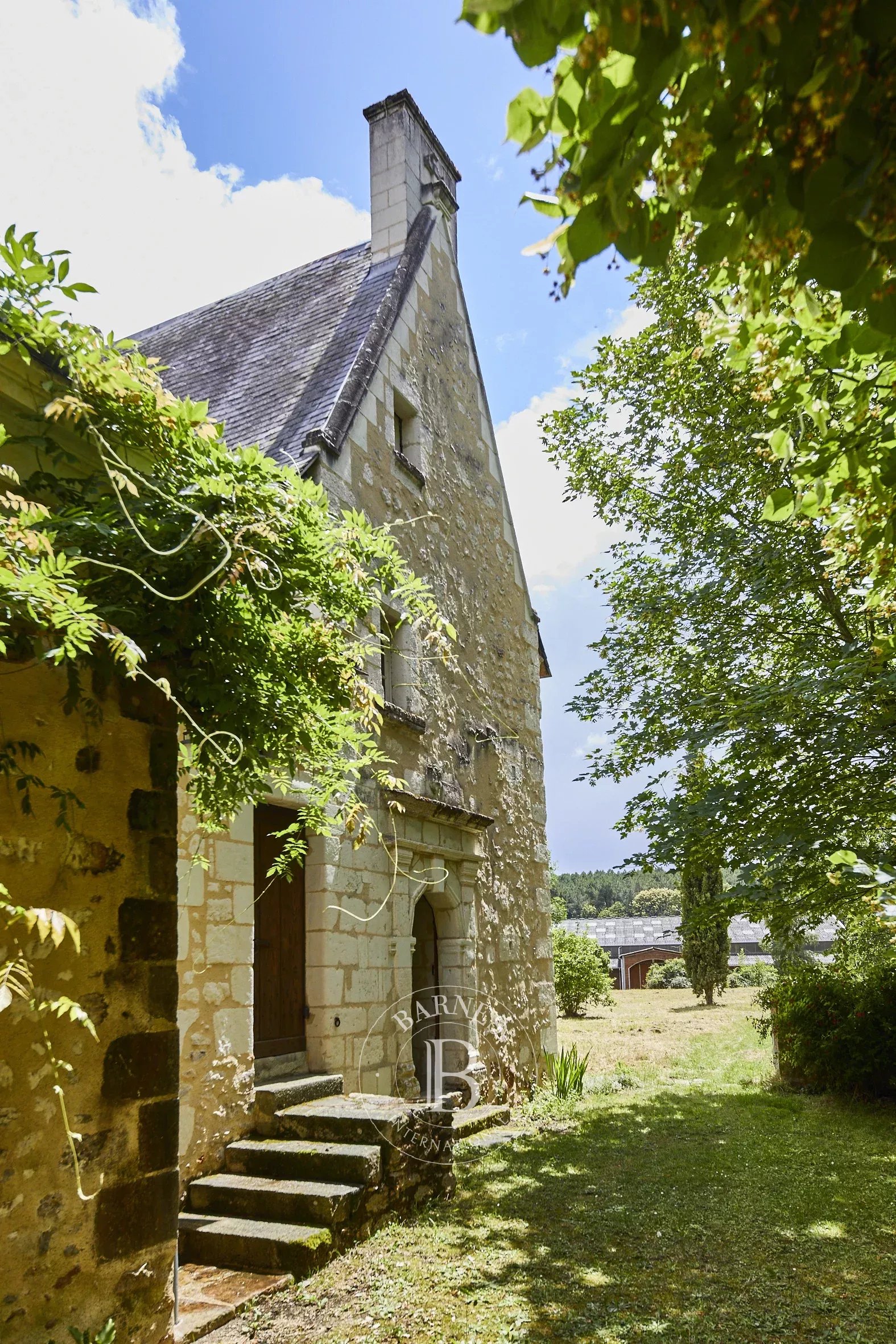 Baugé-en-Anjou  - Domaine équestre 12 Pi&egrave;ces 7 Chambres - picture 4