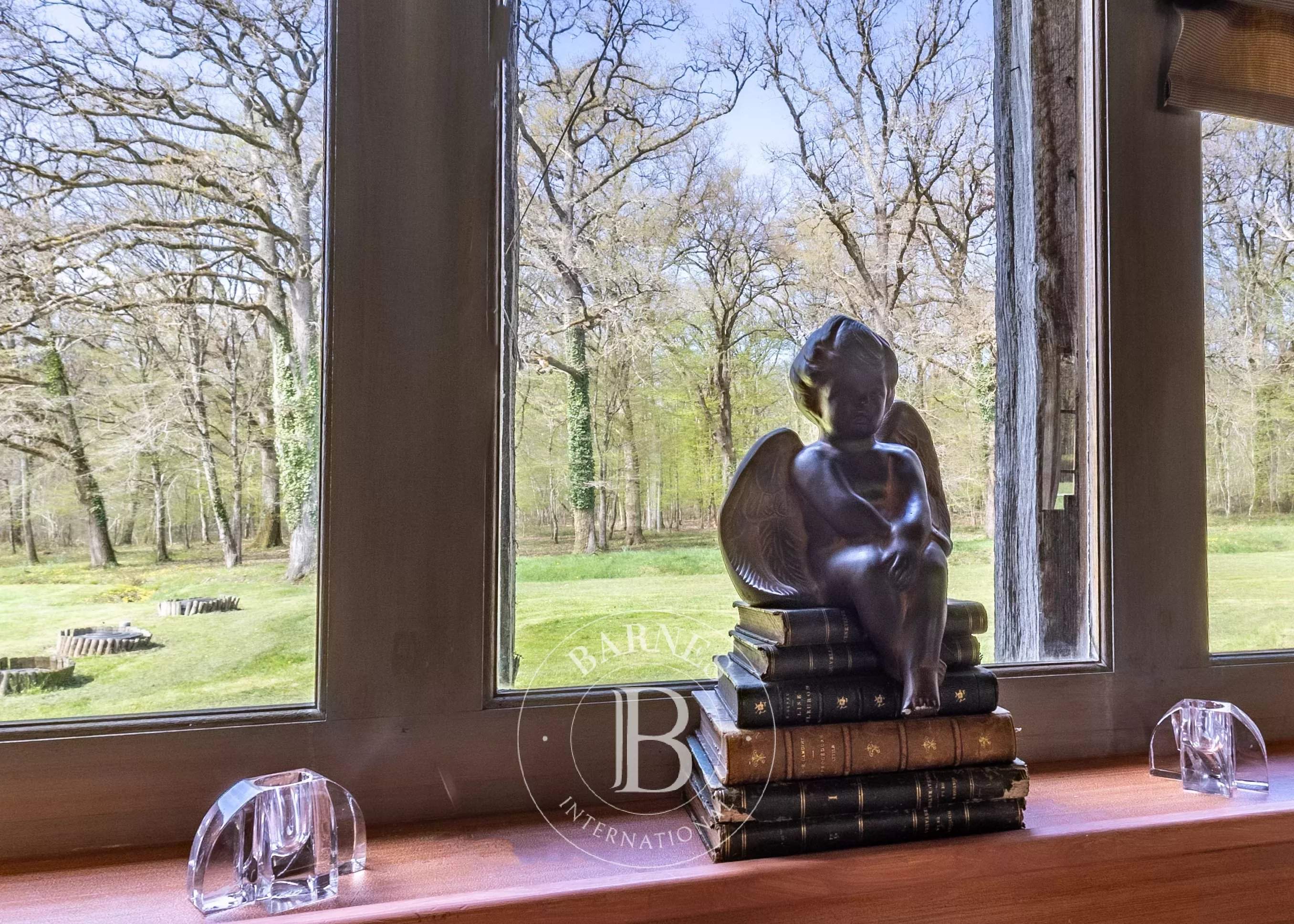 Cheverny  - Fermette 13 Pi&egrave;ces 8 Chambres - picture 8