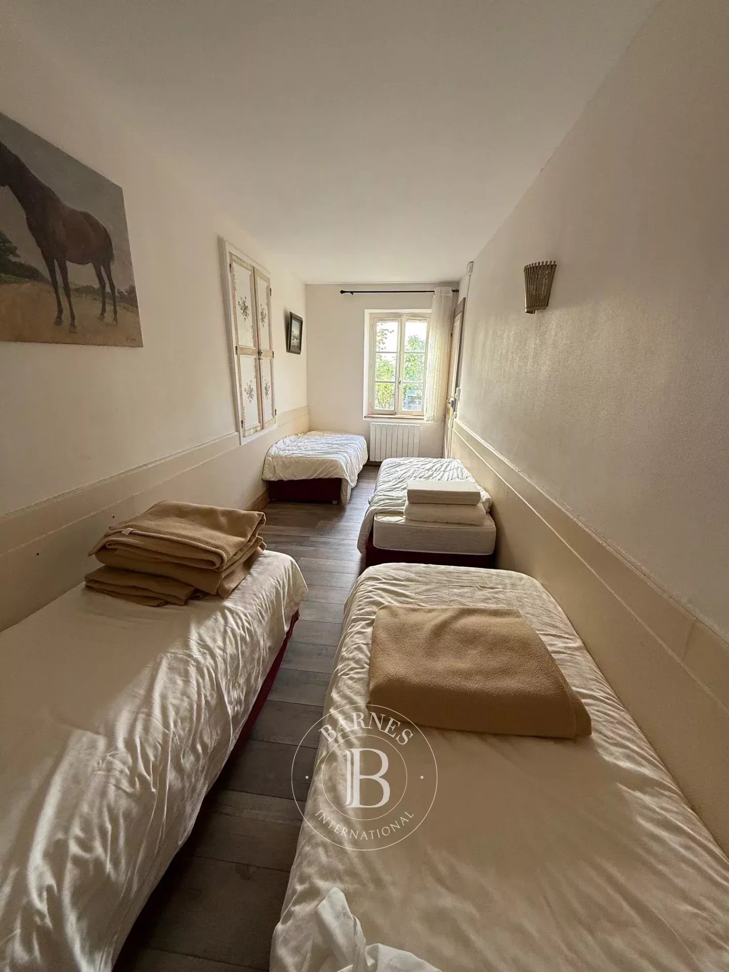 Luzy  - Shop  - picture 13