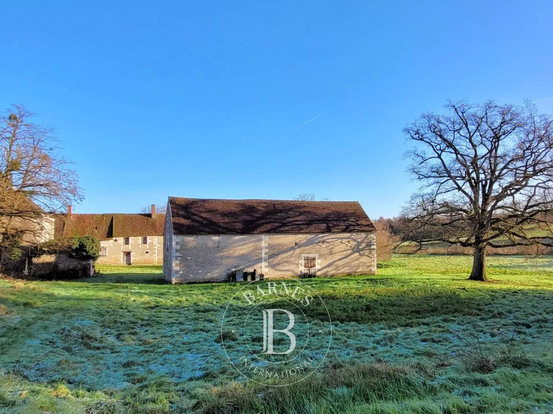 Valençay  - Propriété  - picture 9