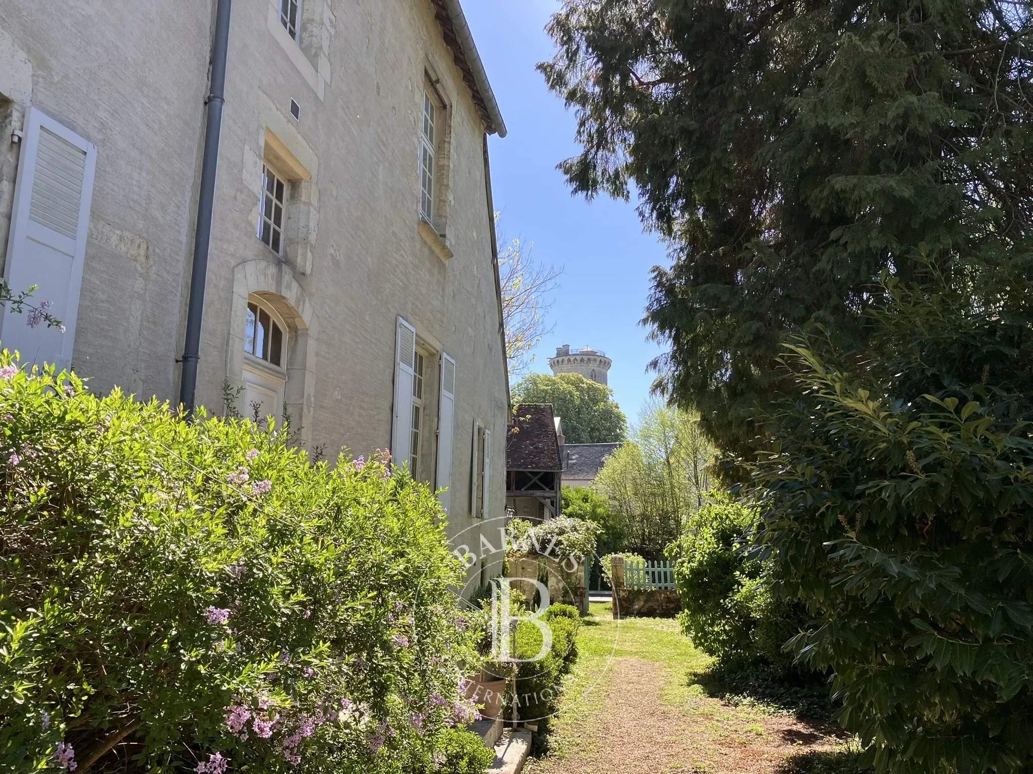 Mehun-sur-Yèvre  - Hôtel particulier  - picture 3