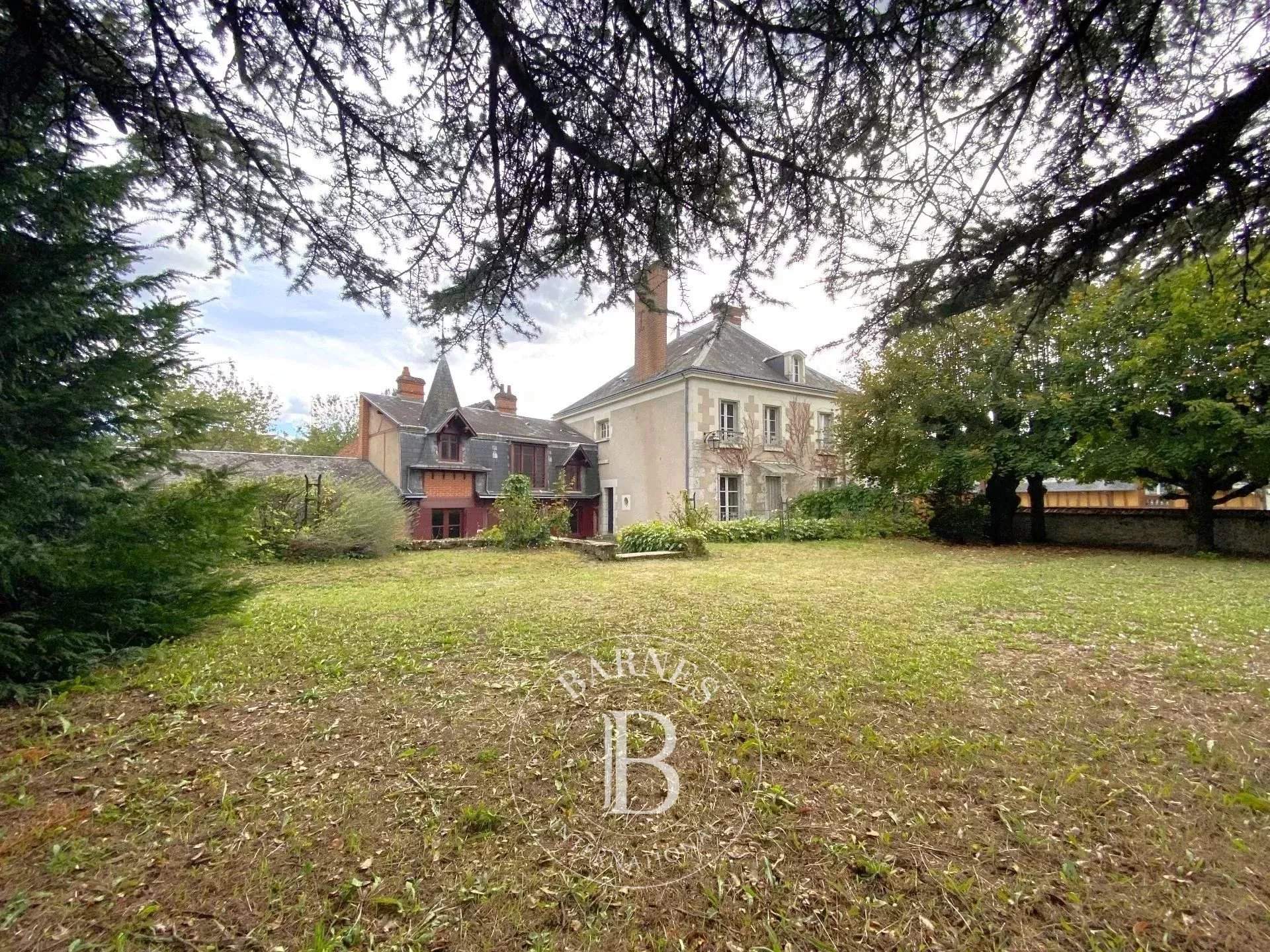 Cour-Cheverny  - Maison 9 Pi&egrave;ces 5 Chambres - picture 14