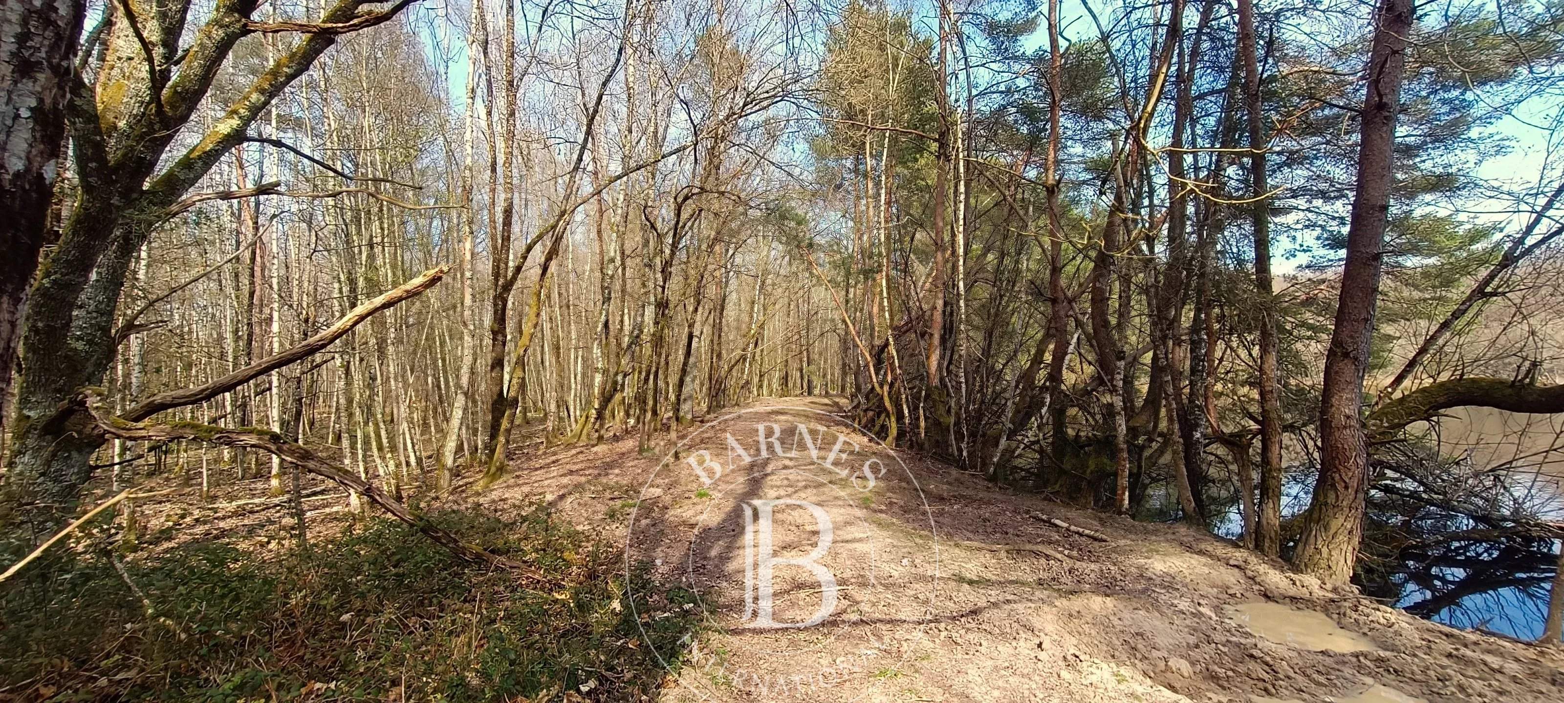 Salbris  - Domaine de chasse 10 Pi&egrave;ces 4 Chambres - picture 13