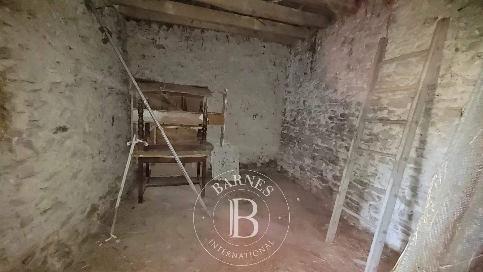 Selles-sur-Cher  - Fermette 1 Pièce - picture 4