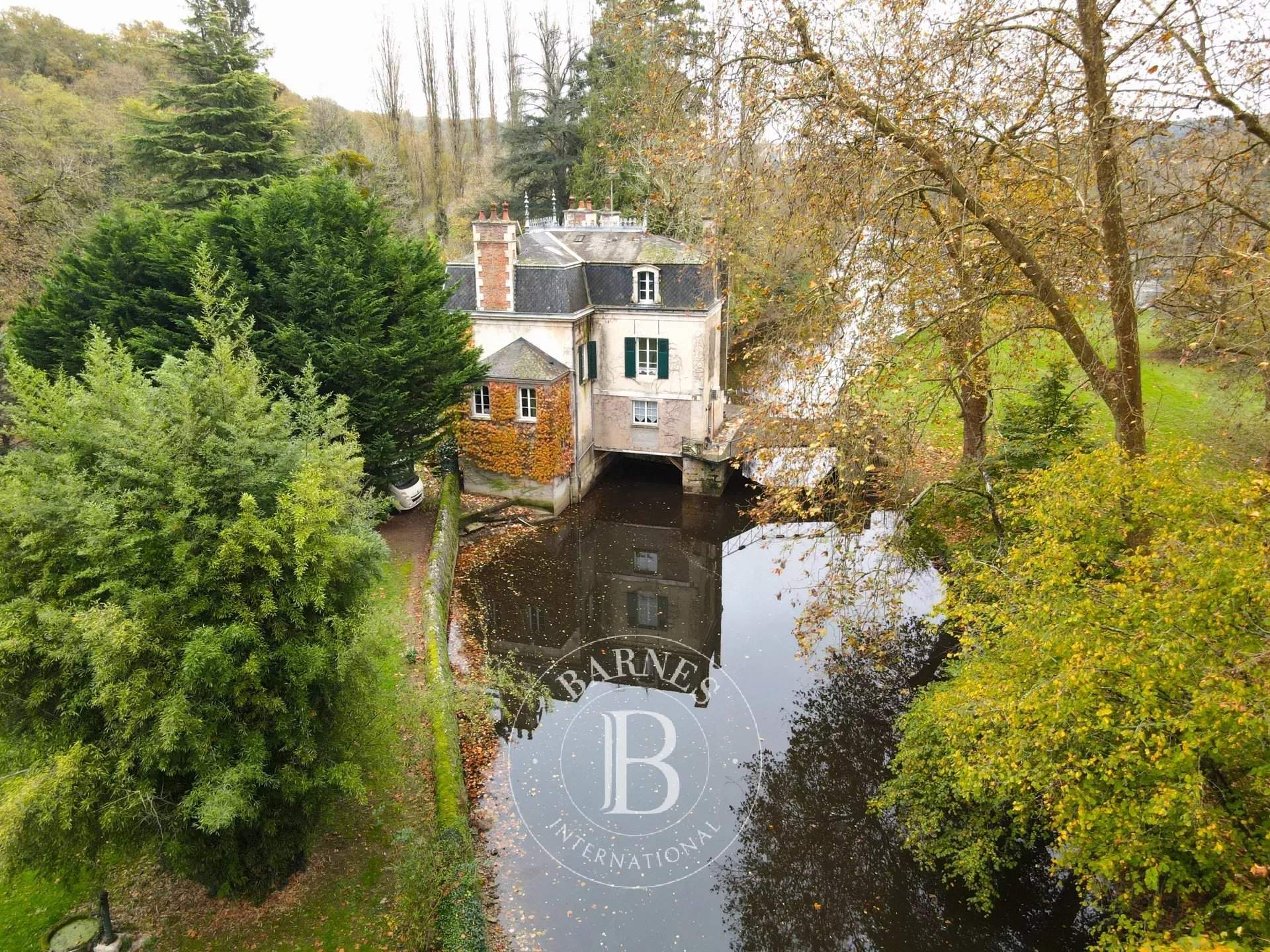 Le Blanc  - Manor house 7 Bedrooms - picture 16