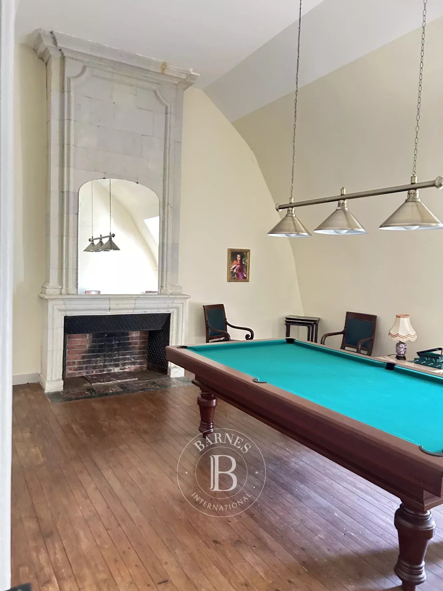 Chazé-sur-Argos  - Castle 15 Bedrooms - picture 13