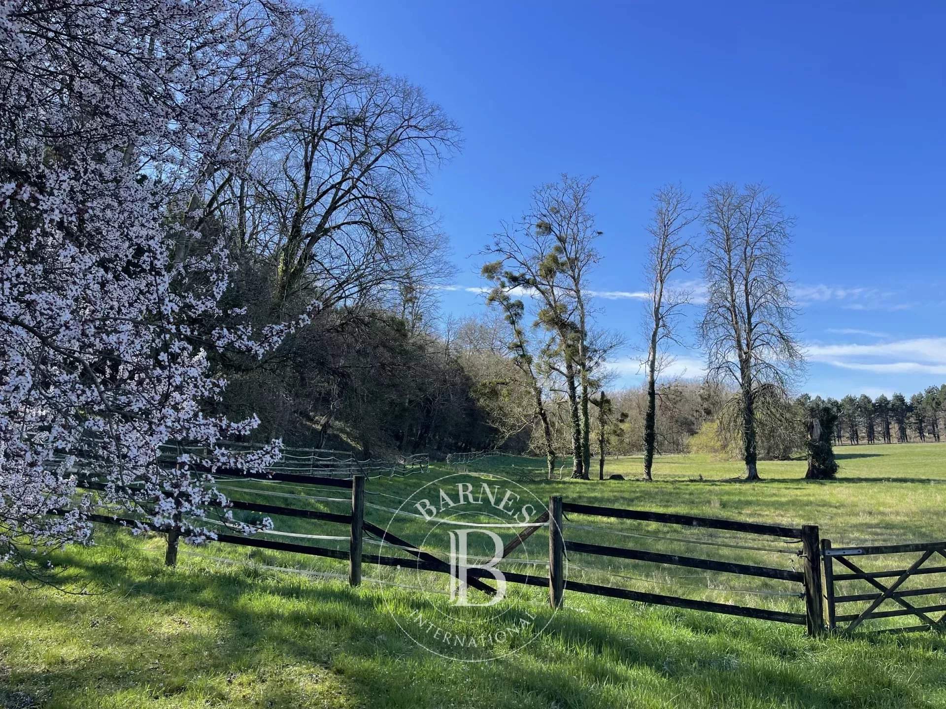 Amboise  - Castle 6 Bedrooms - picture 4