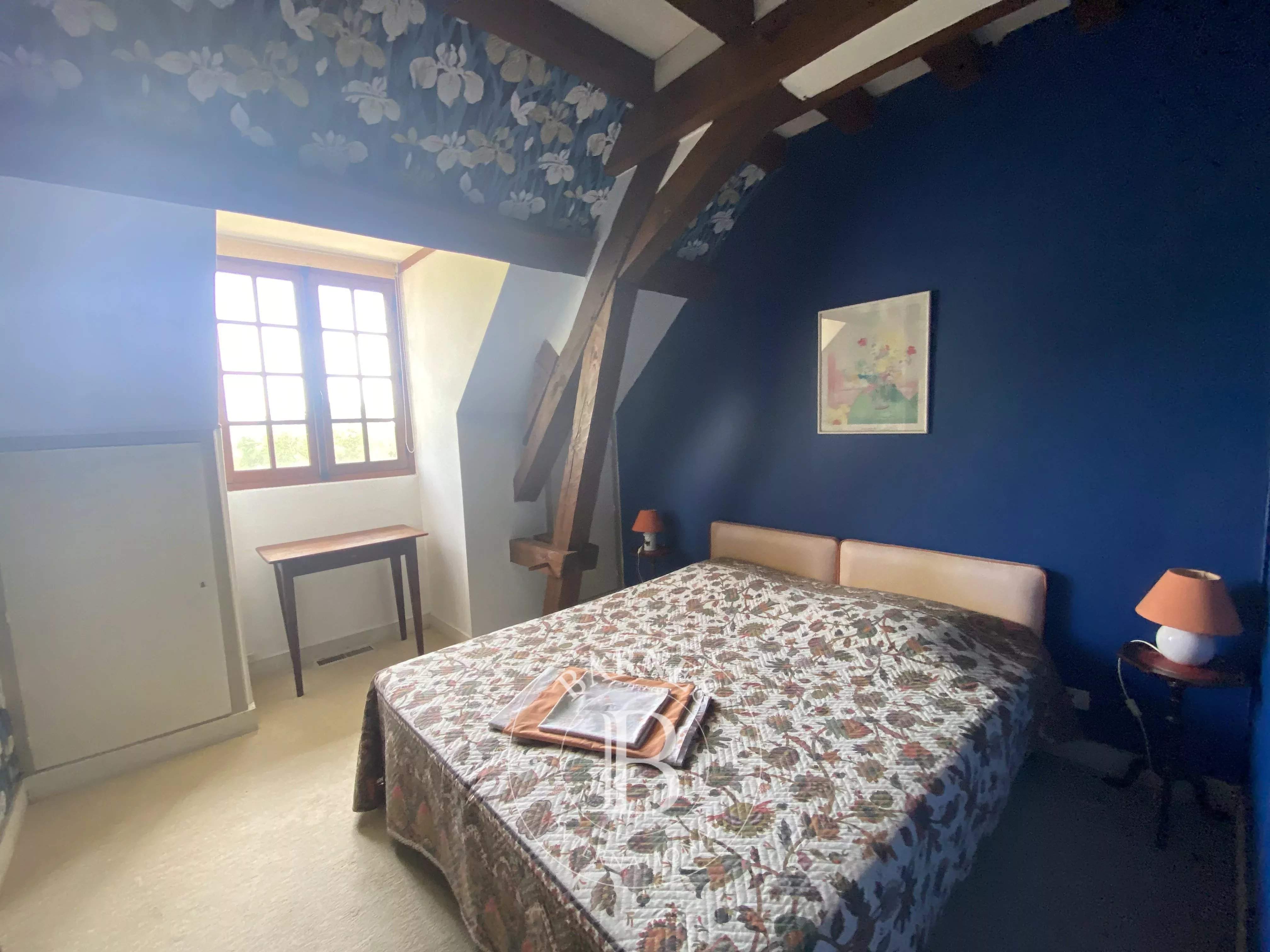 Savigny-sur-Braye  - House 10 Bedrooms - picture 9