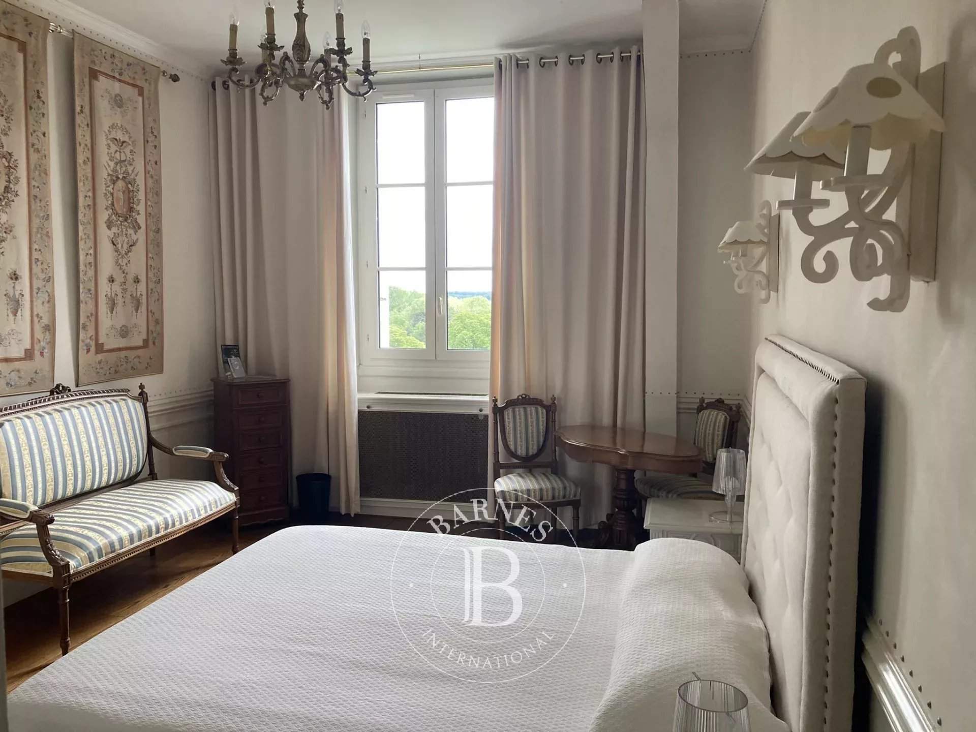 Veuves  - Château 23 Pi&egrave;ces 16 Chambres - picture 17