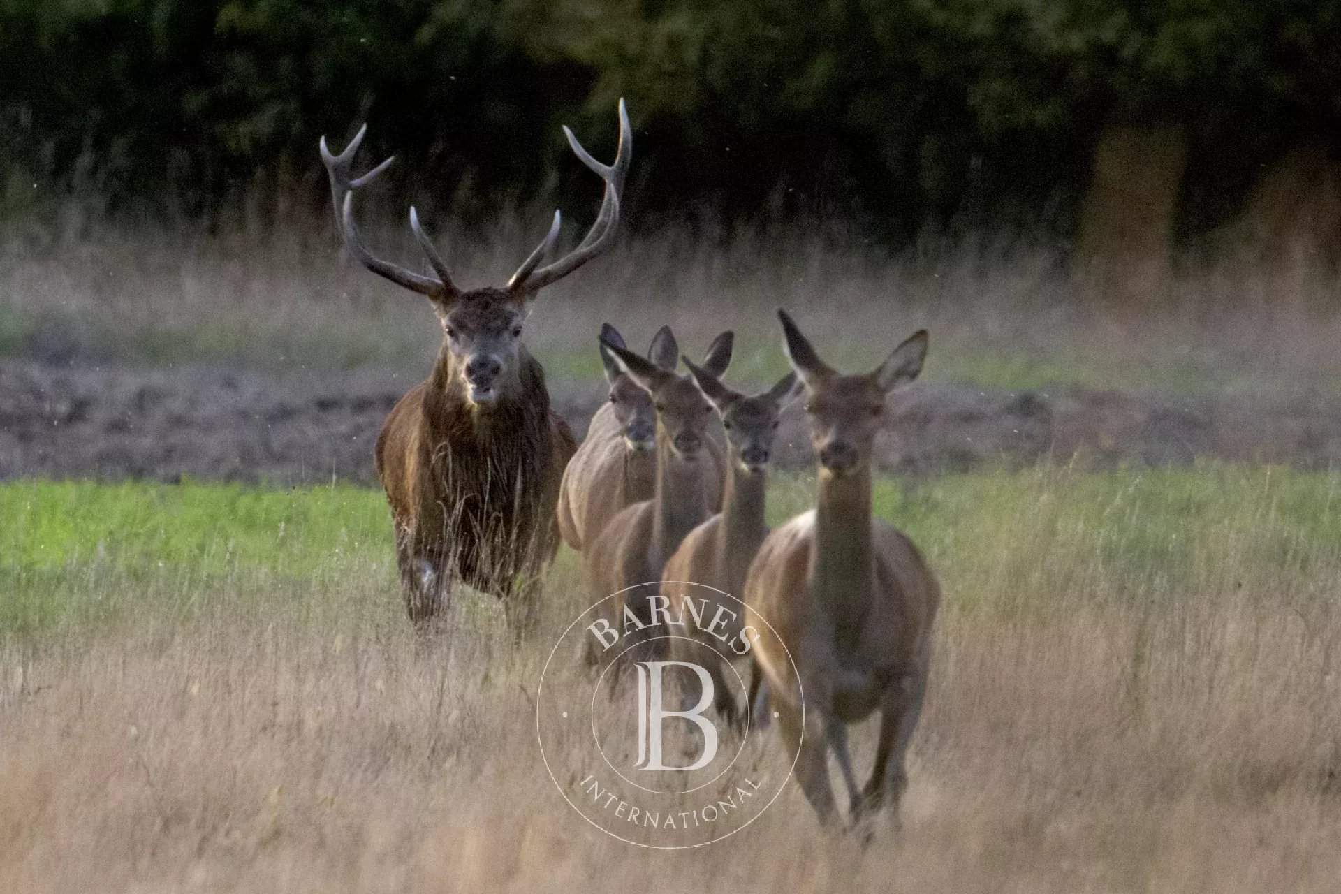 Tours  - Propriété 12 Pi&egrave;ces 5 Chambres - picture 15