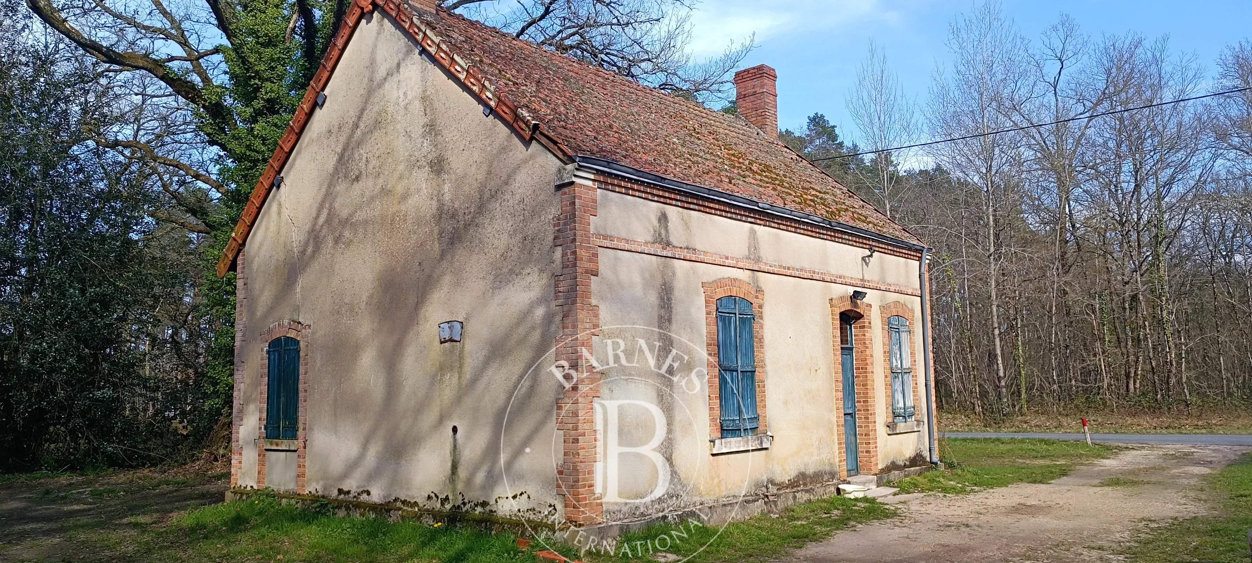 Salbris  - Domaine de chasse 10 Pi&egrave;ces 4 Chambres - picture 10