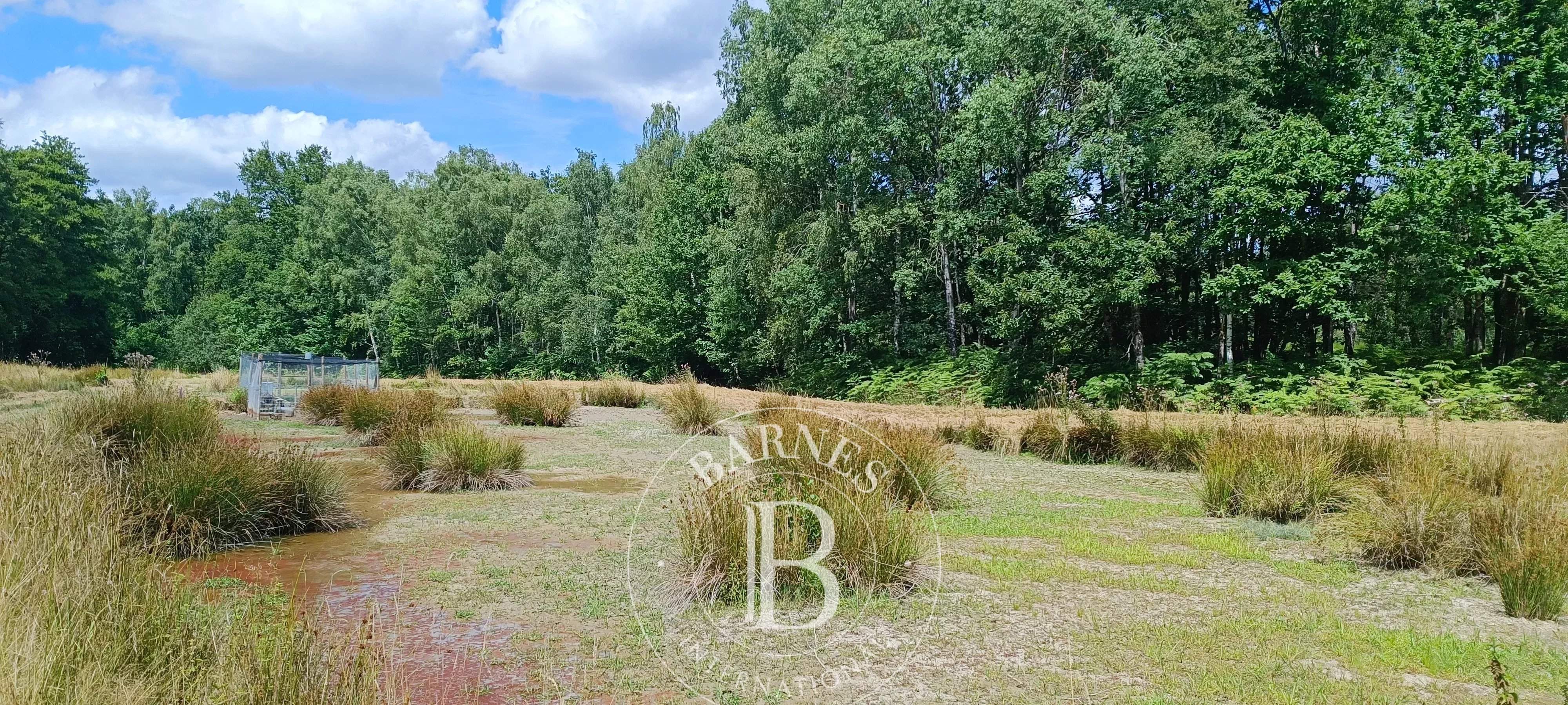 Lamotte-Beuvron  - Domaine de chasse 7 Pi&egrave;ces 4 Chambres - picture 14