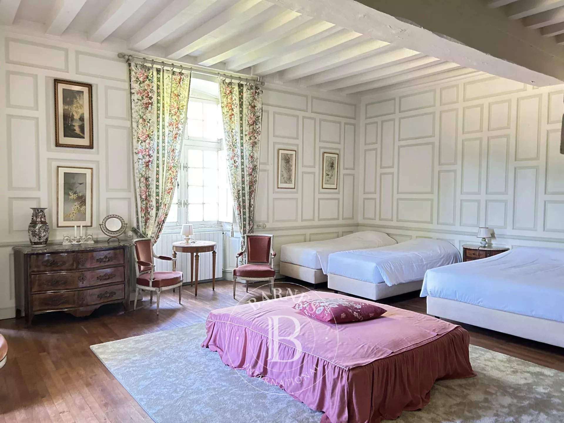 Chazé-sur-Argos  - Castle 15 Bedrooms - picture 11