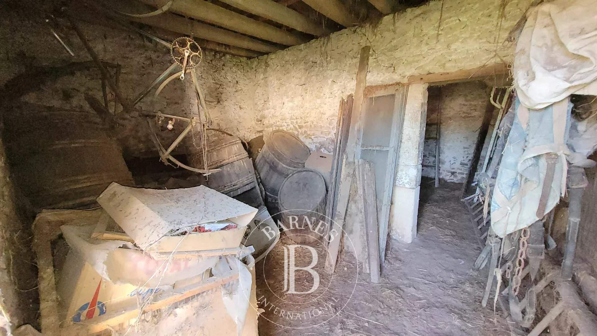 Selles-sur-Cher  - Fermette 1 Pièce - picture 5