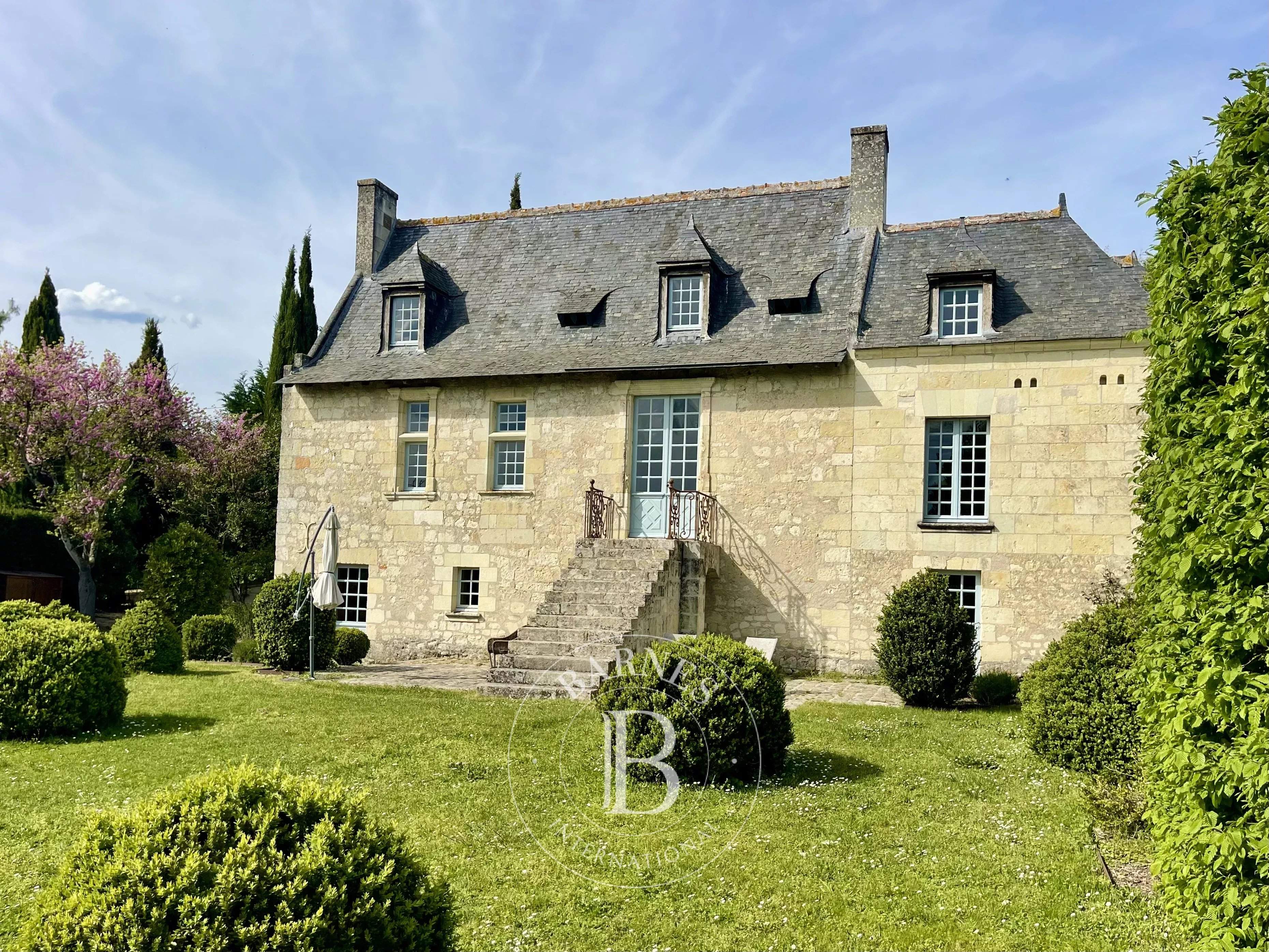 Bourgueil  - Manoir 9 Pi&egrave;ces 4 Chambres - picture 10