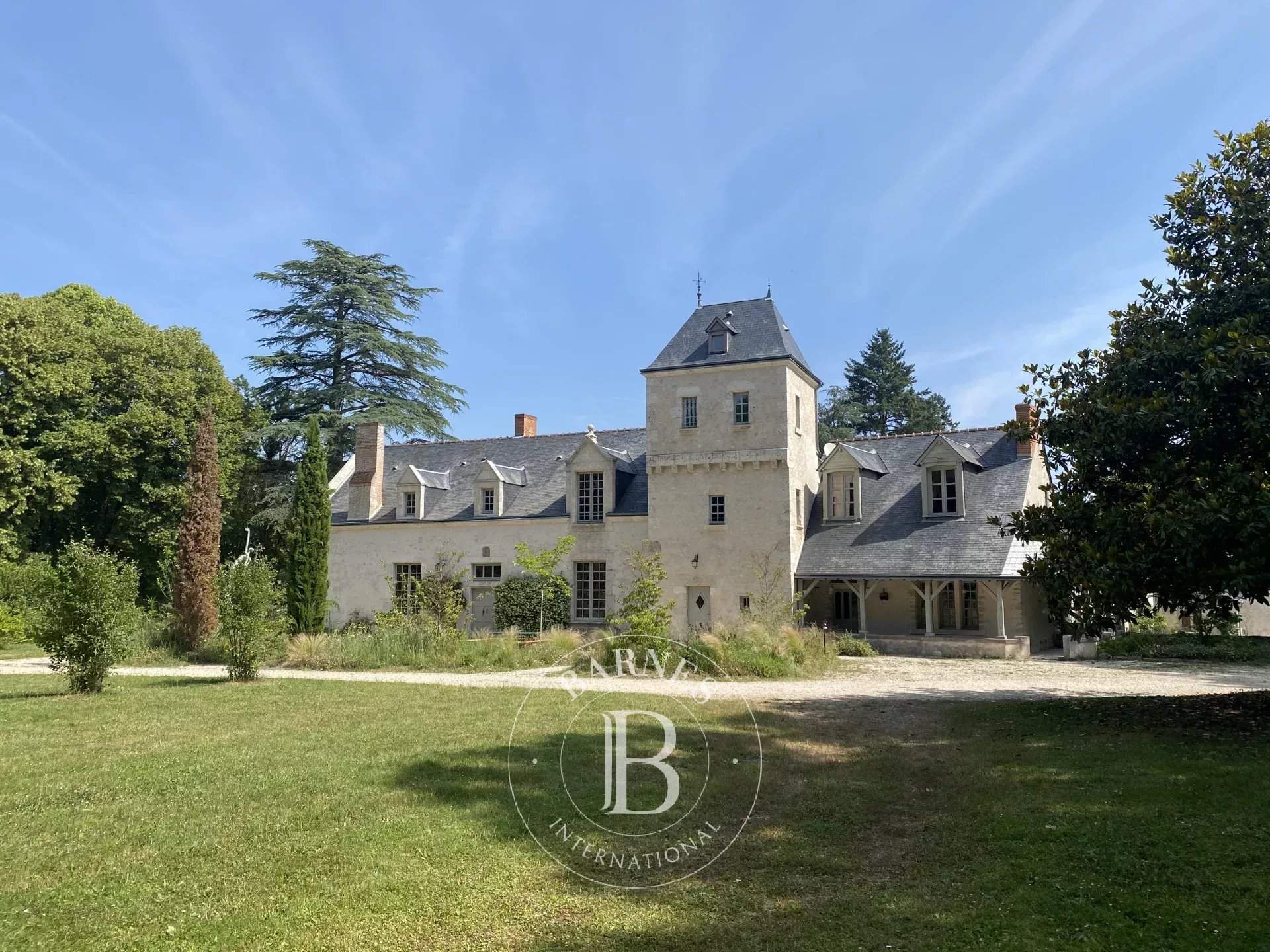 Cellettes  - Castle  - picture 1