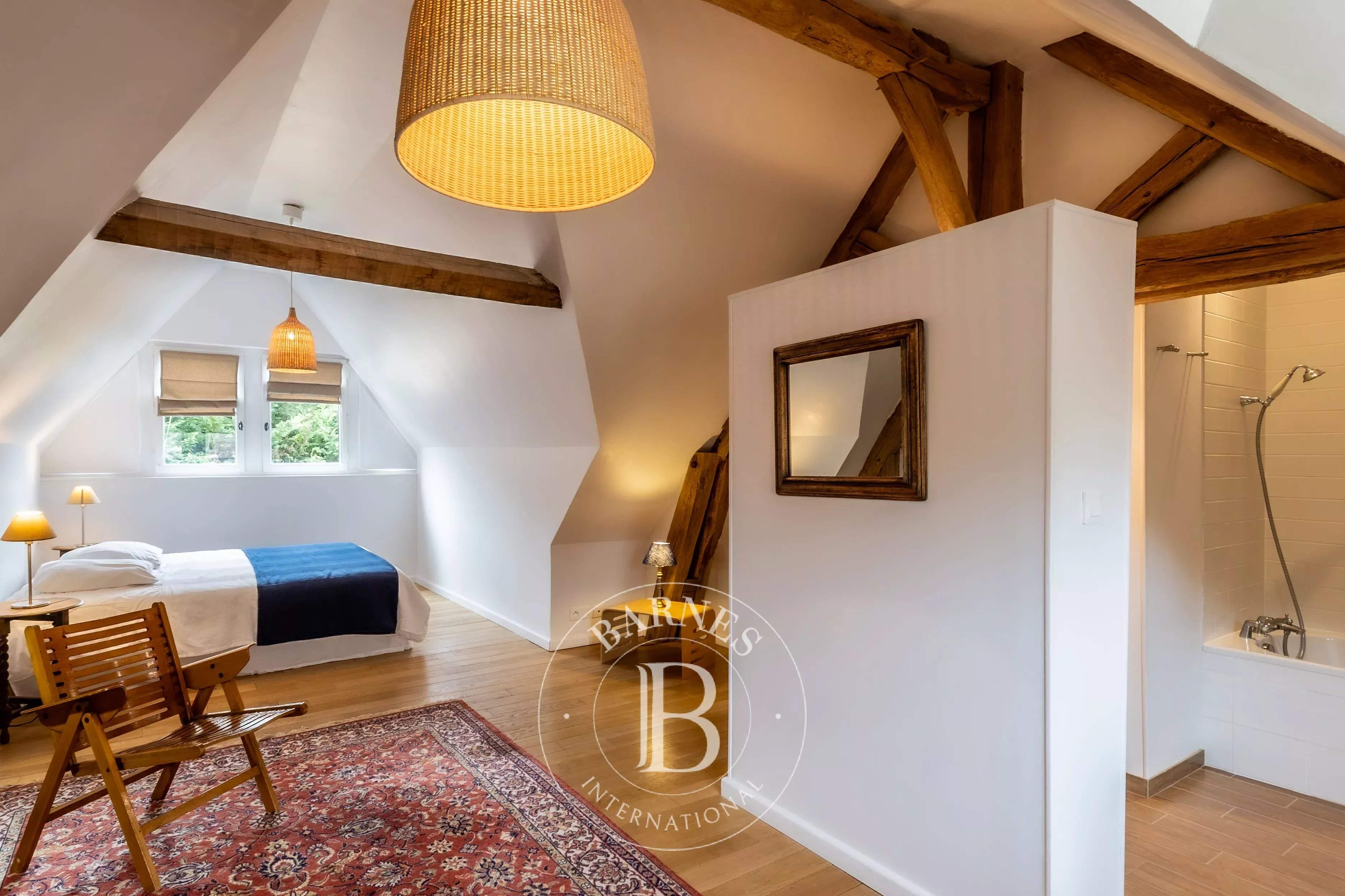 Cheverny  - Fermette 13 Pi&egrave;ces 8 Chambres - picture 14