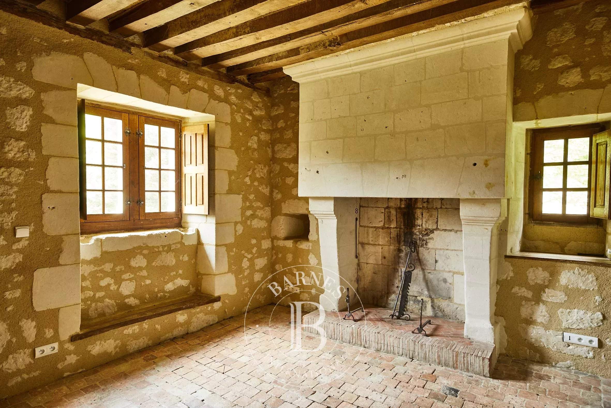 Baugé-en-Anjou  - Domaine équestre 12 Pi&egrave;ces 7 Chambres - picture 15