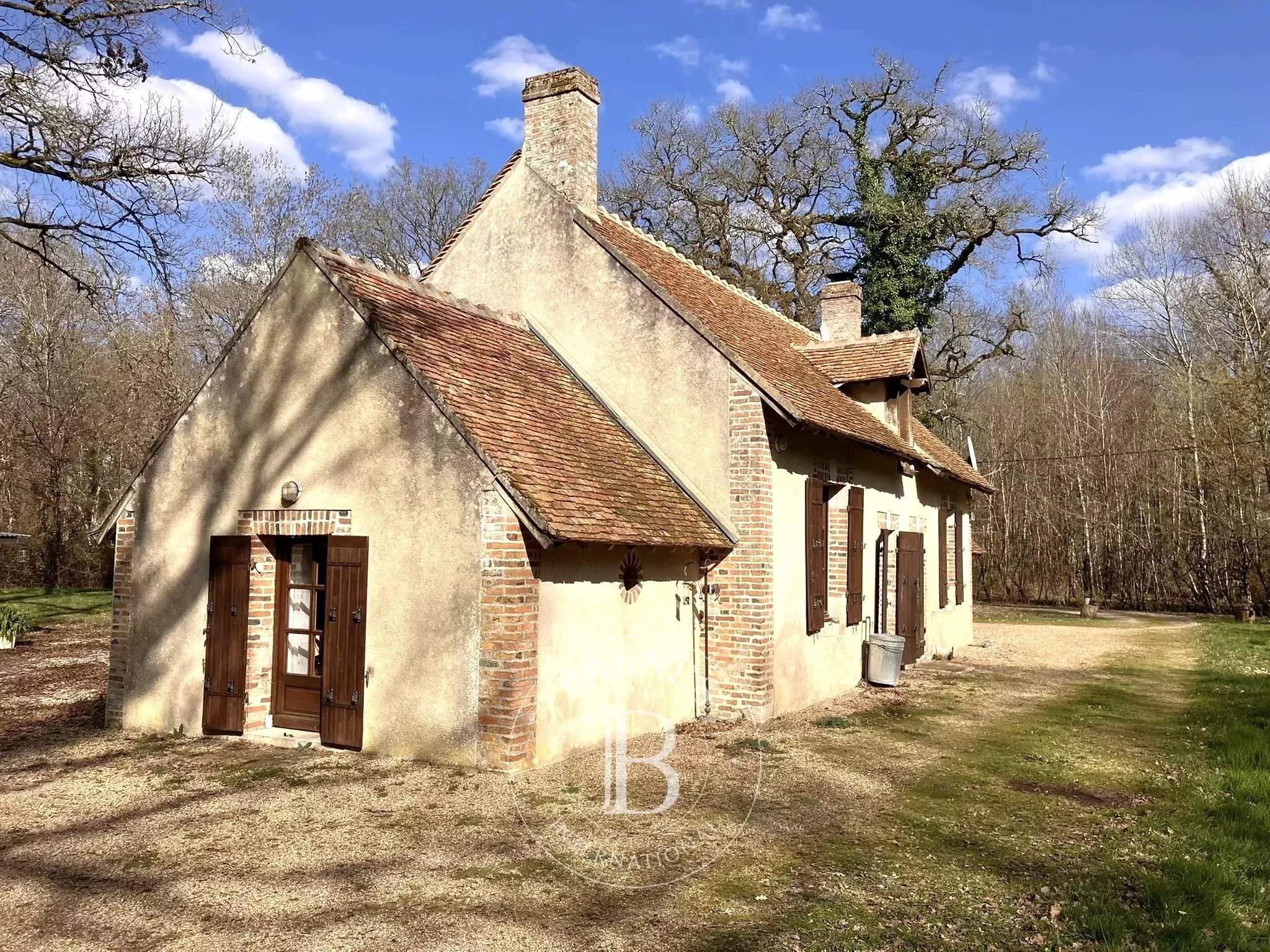 Lamotte-Beuvron  - Propriété 12 Pi&egrave;ces - picture 10
