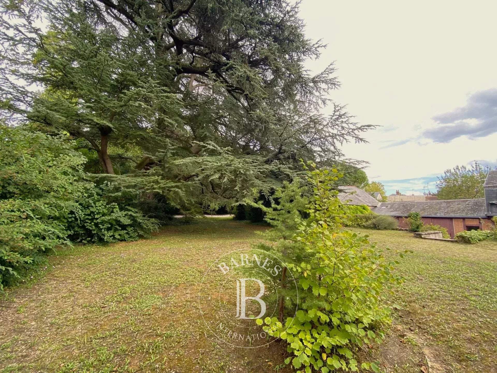 Cour-Cheverny  - House 5 Bedrooms - picture 15