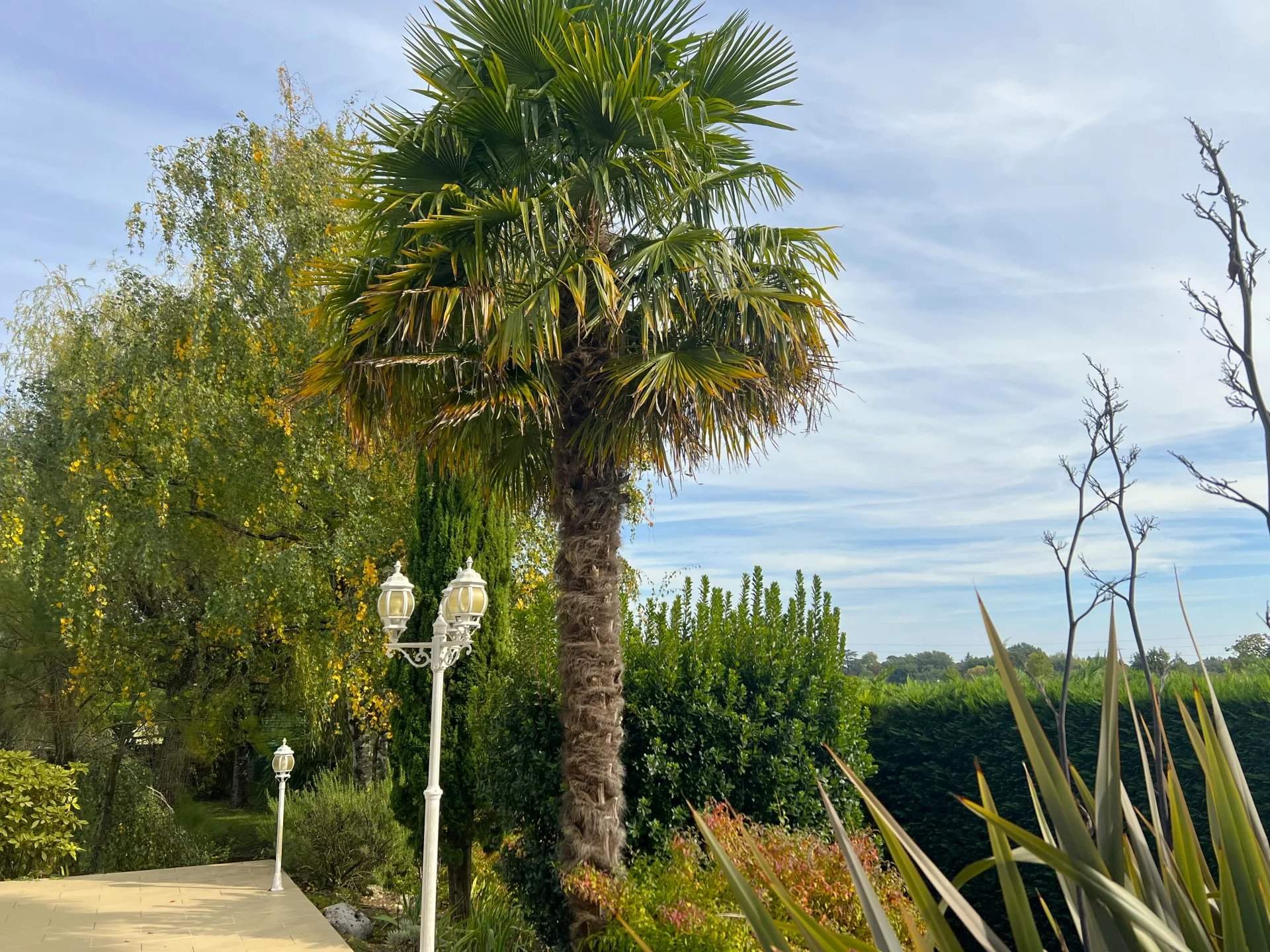 Fondettes  - House 5 Bedrooms - picture 7