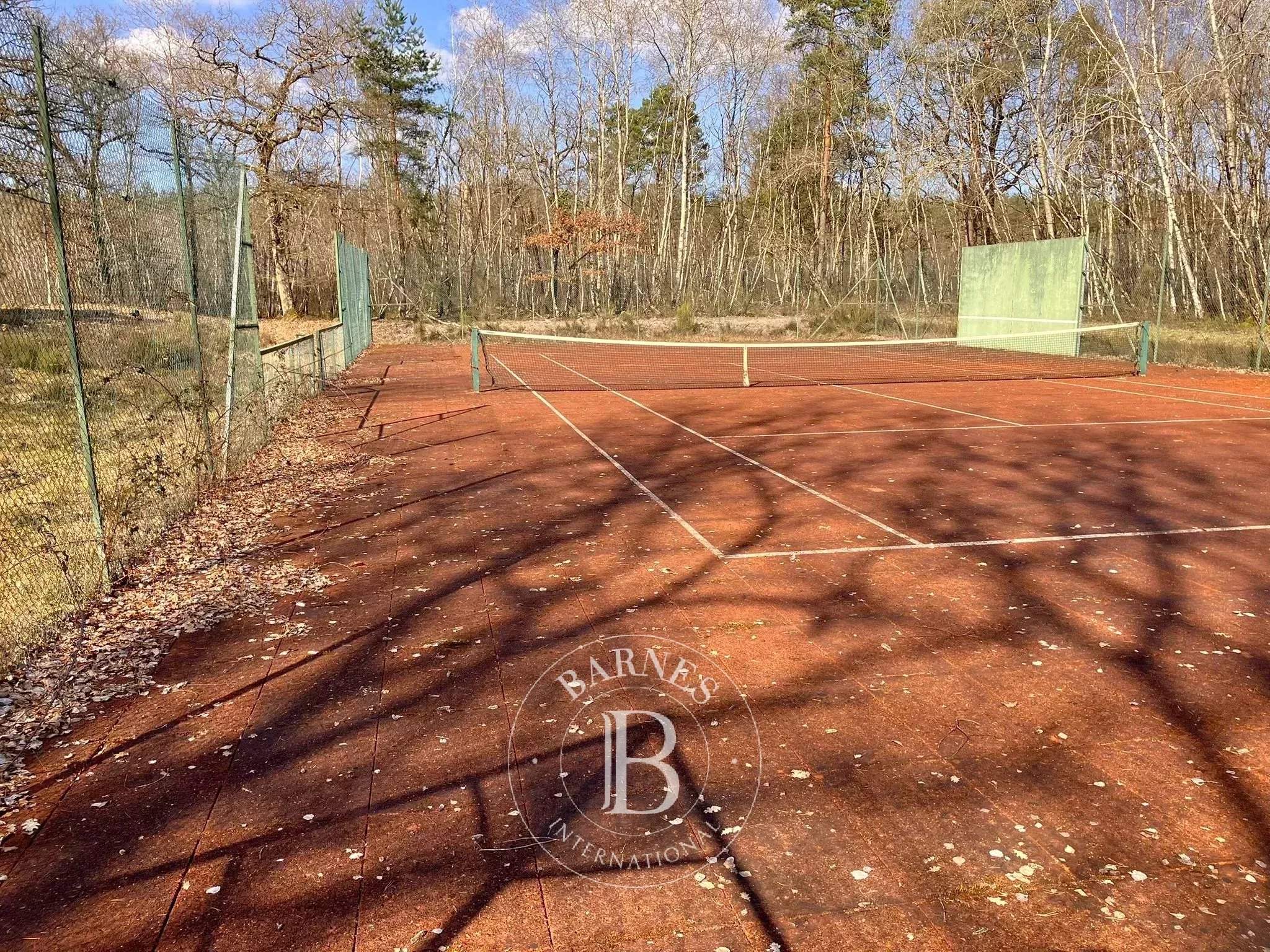 Lamotte-Beuvron  - Propriété 12 Pi&egrave;ces - picture 4