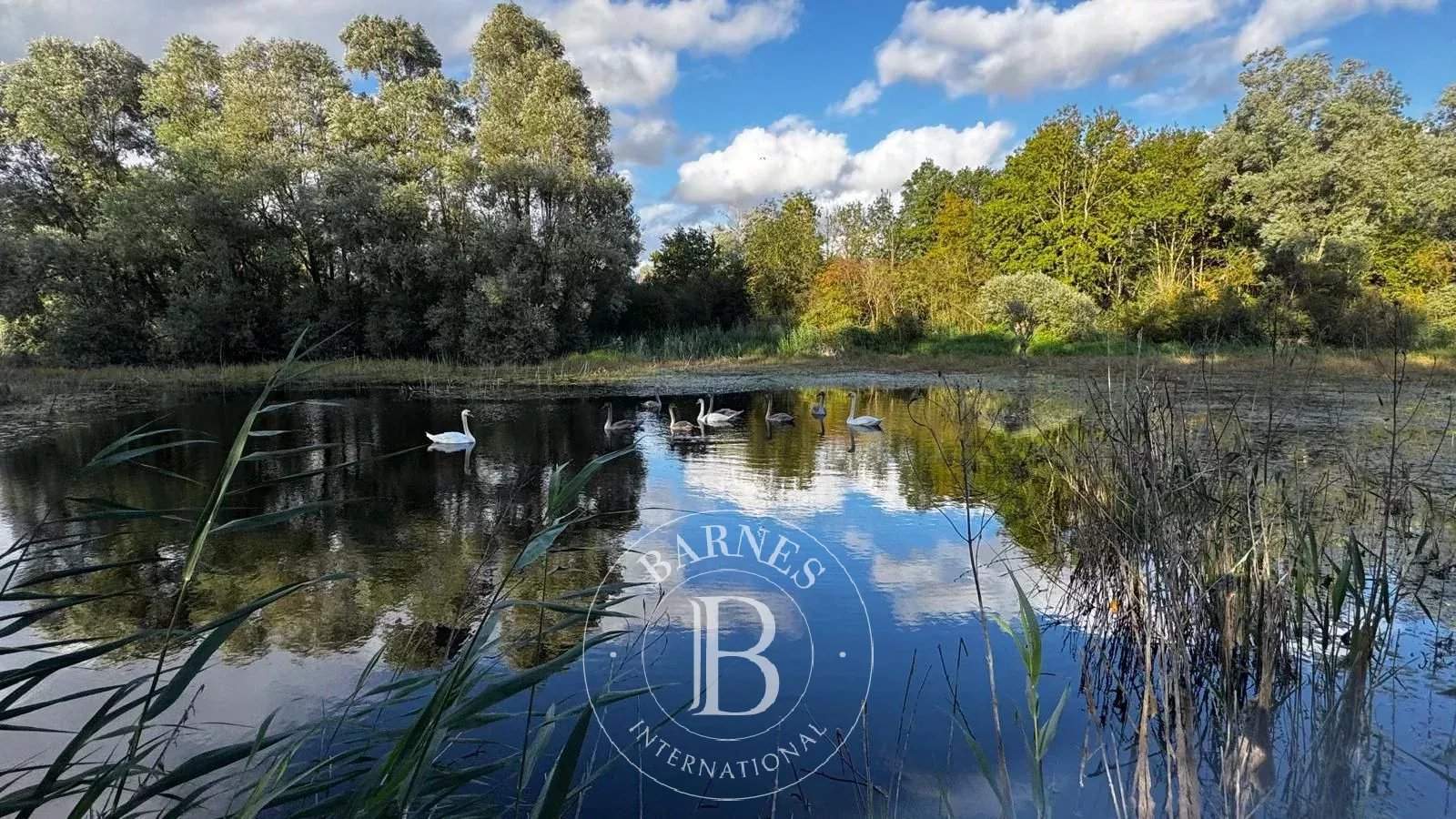 Villeneuve-sur-Conie  - House 8 Bedrooms - picture 14
