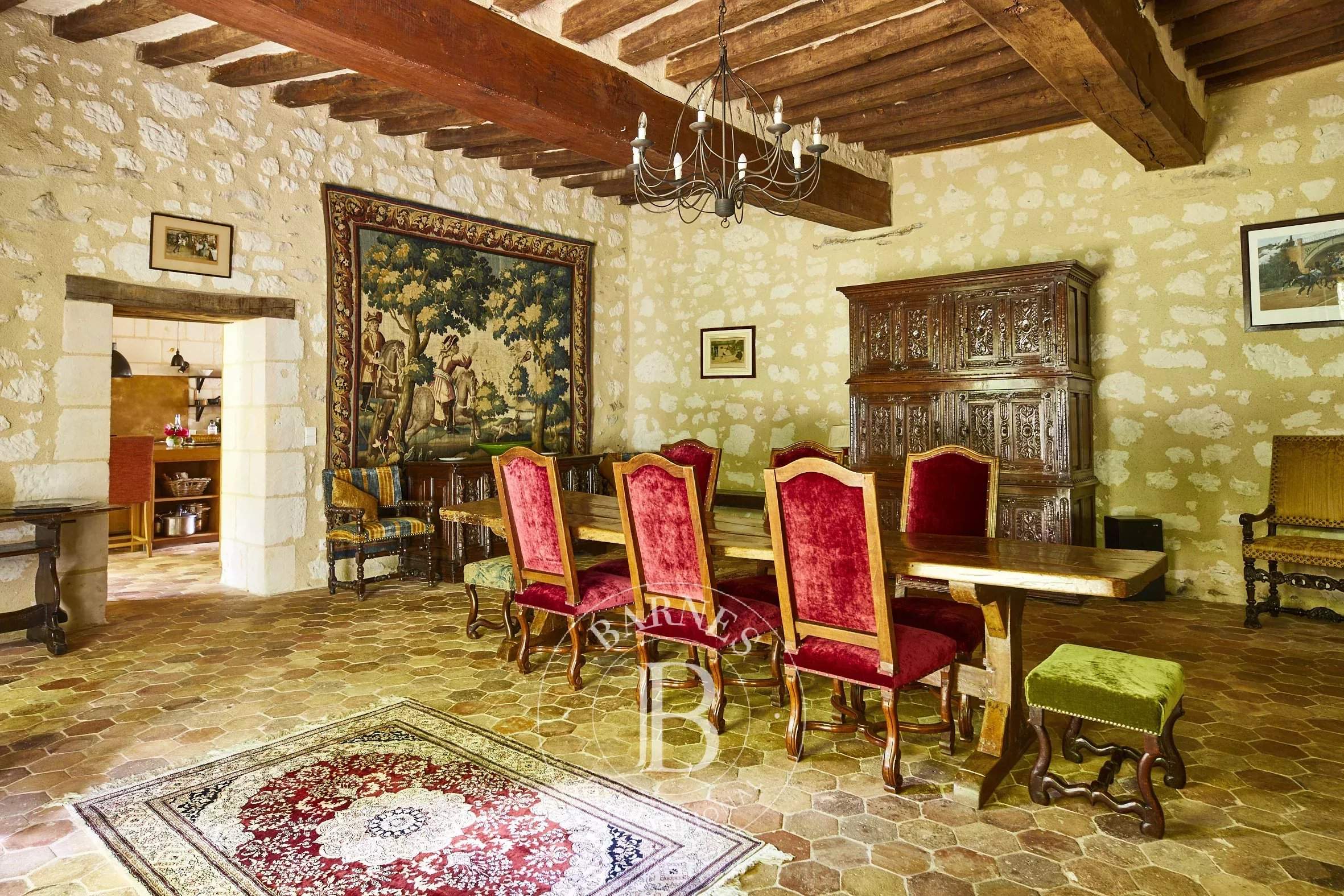 Baugé-en-Anjou  - Domaine équestre 12 Pi&egrave;ces 7 Chambres - picture 9