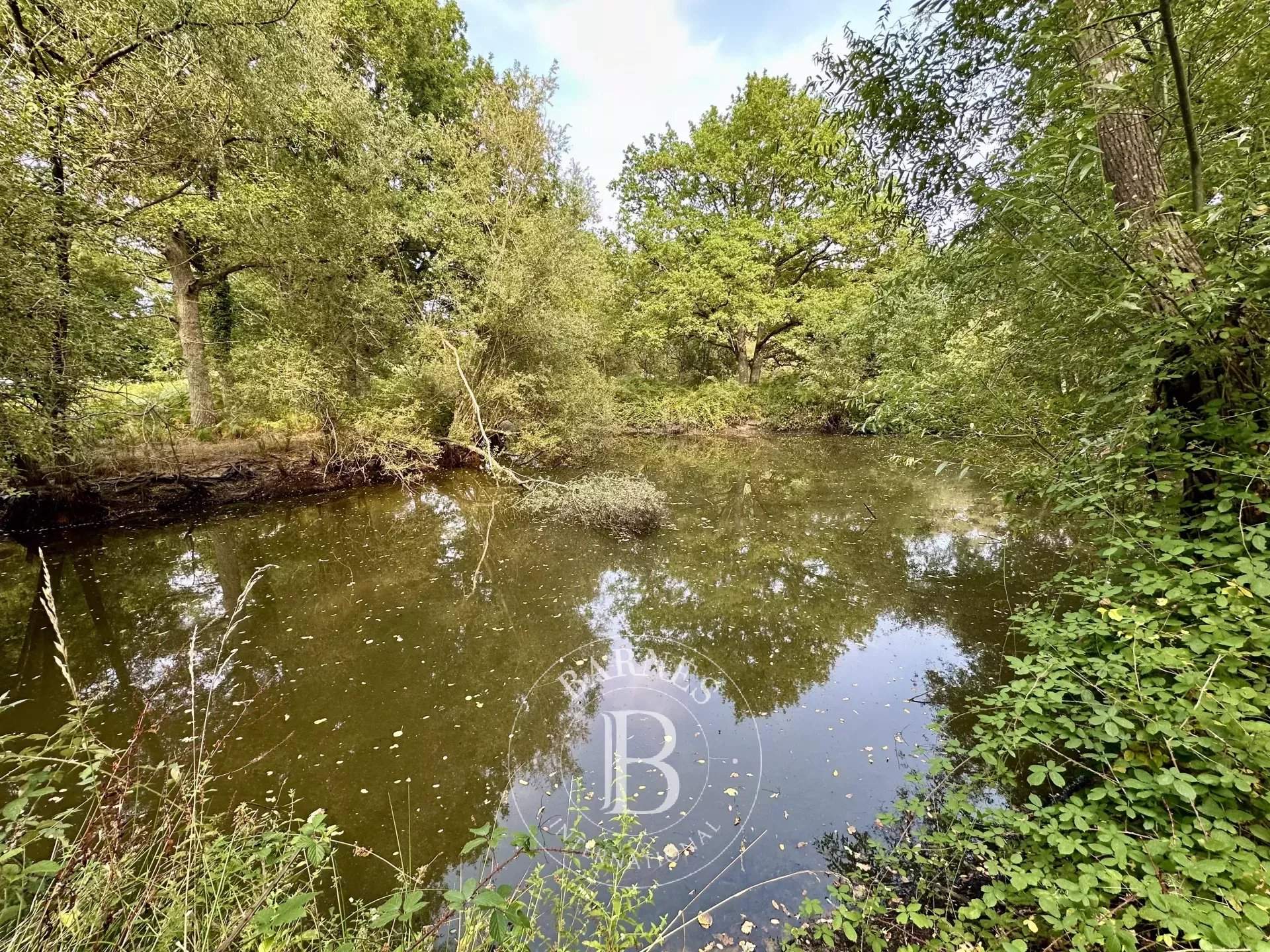 Bray-Saint-Aignan  - Equestrian estate 5 Bedrooms - picture 13